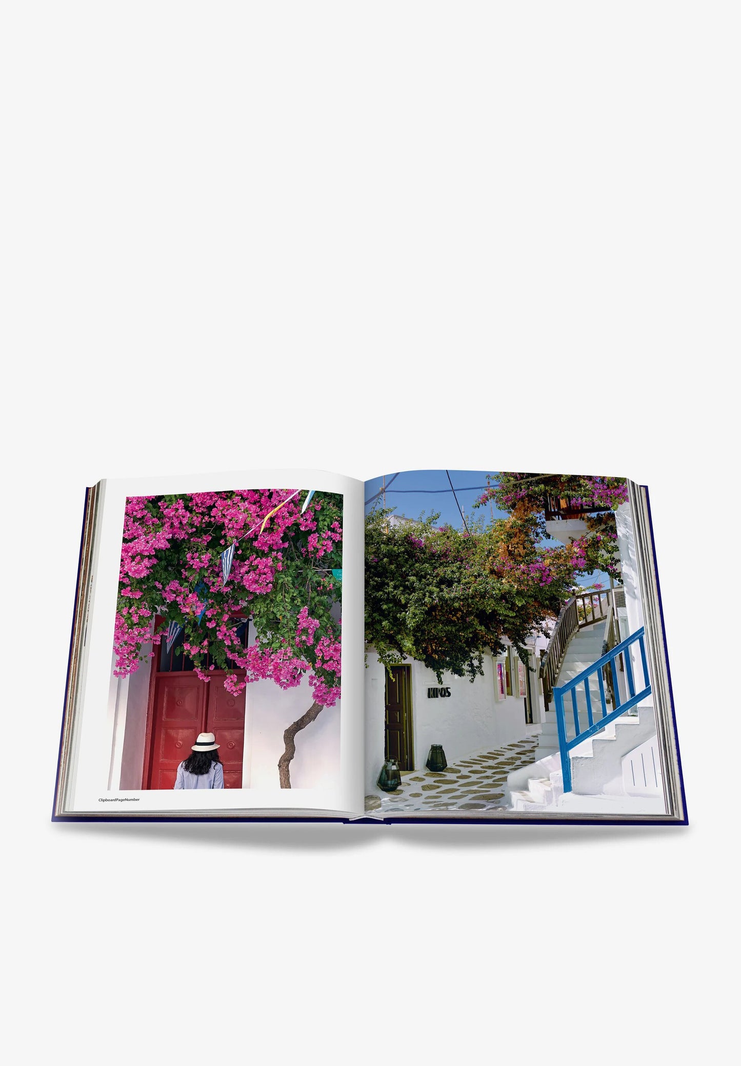 ASSOULINE | LIBRO MYKONOS MUSE