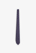 SCMINI PAISLEY F TIE