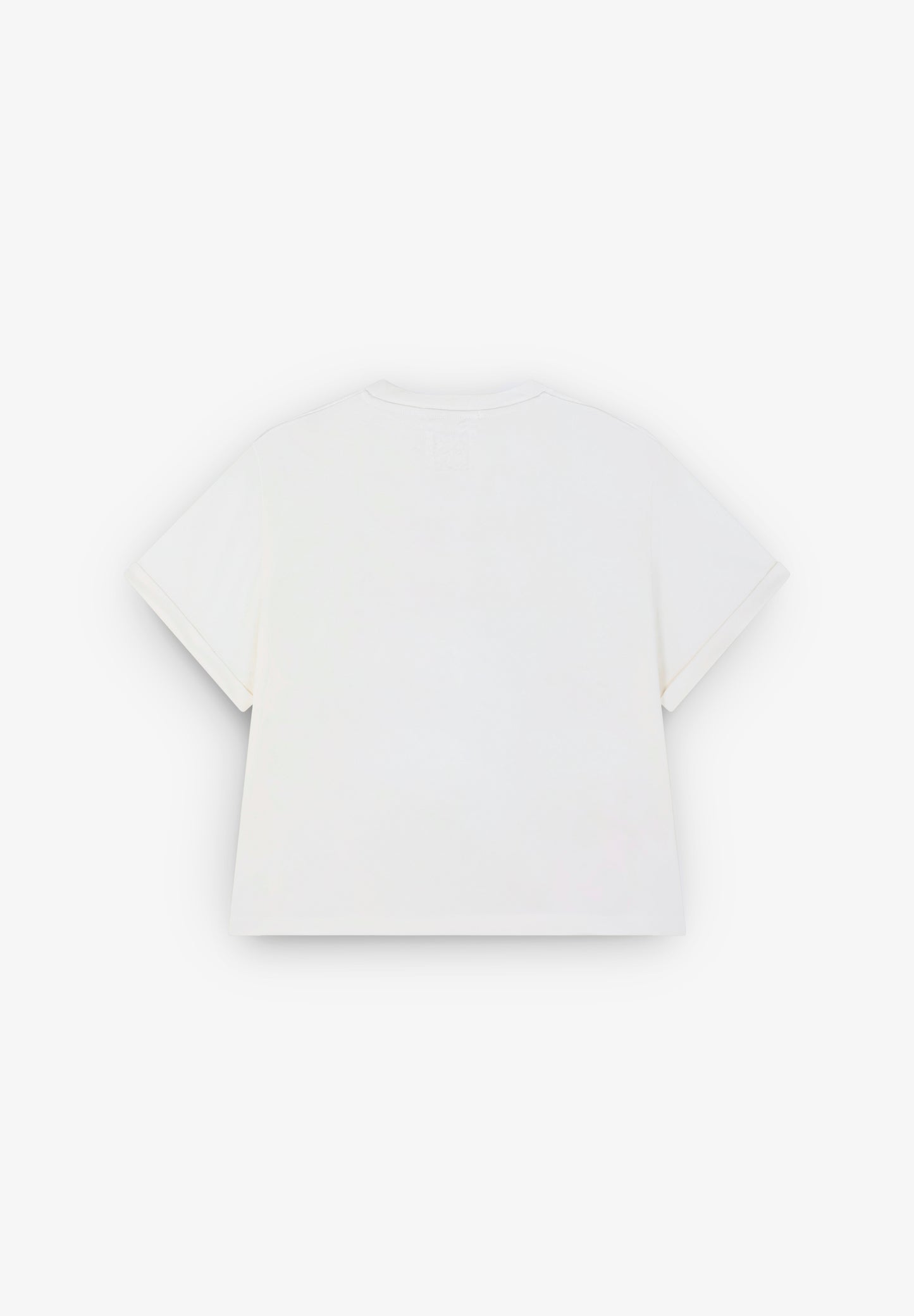 CAMISETA ESTAMPADA BORDADA
