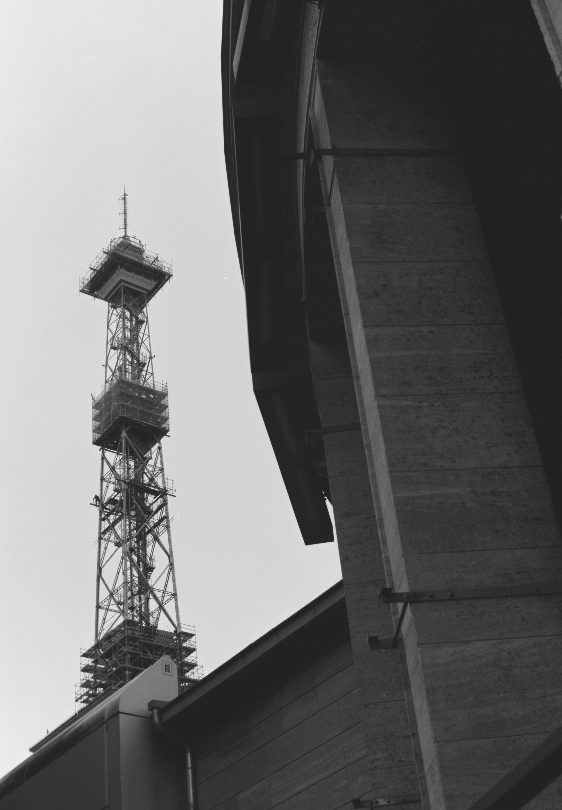 CAMISA SLIM FIT ALGODÓN