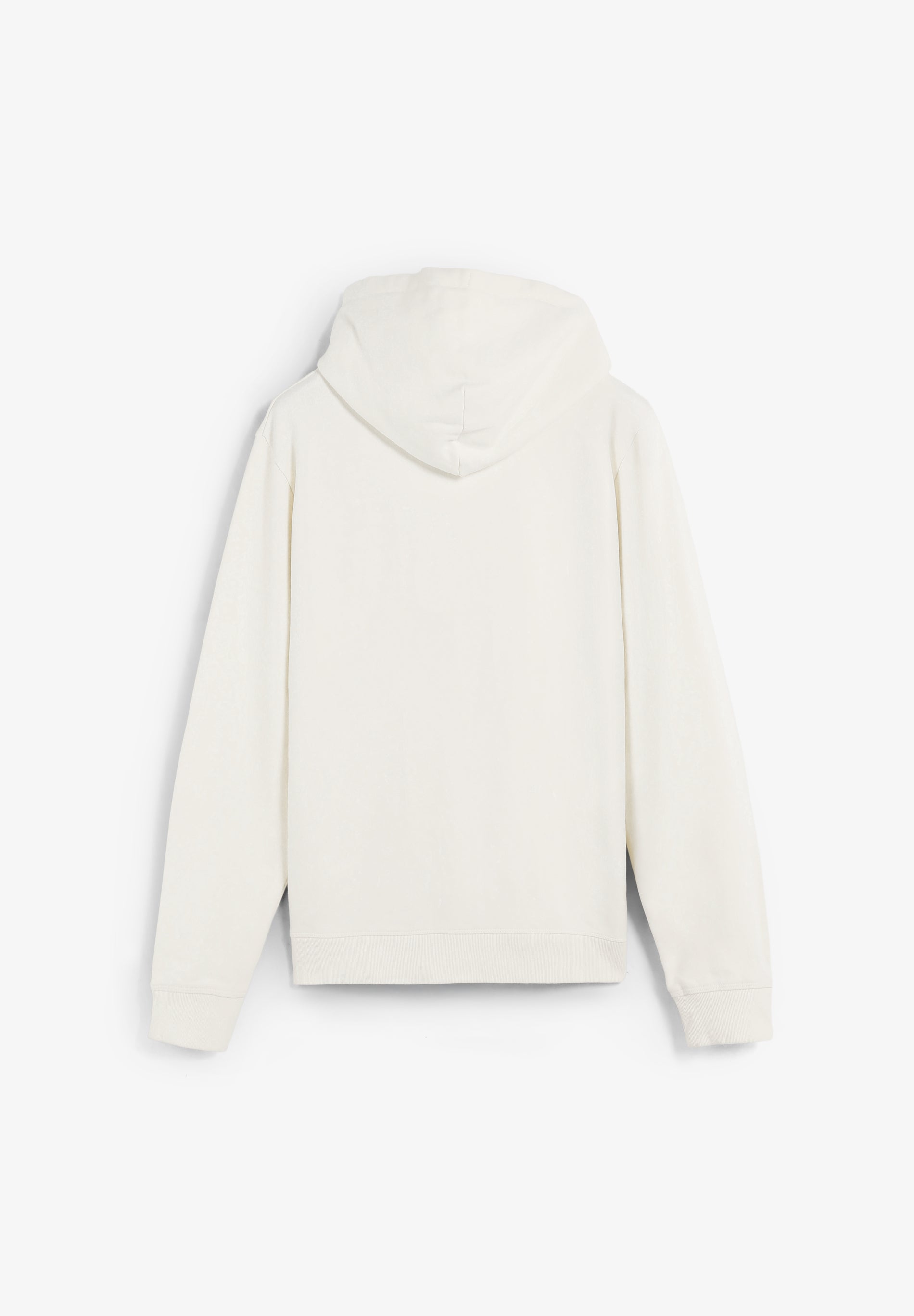 SUDADERA CAPUCHA BORDADA CONTRASTE - Scalpers