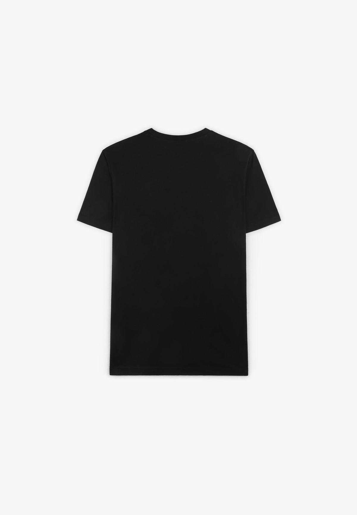 DICKIES | CAMISETA MAPLETON