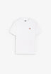 DICKIES | CAMISETA MAPLETON
