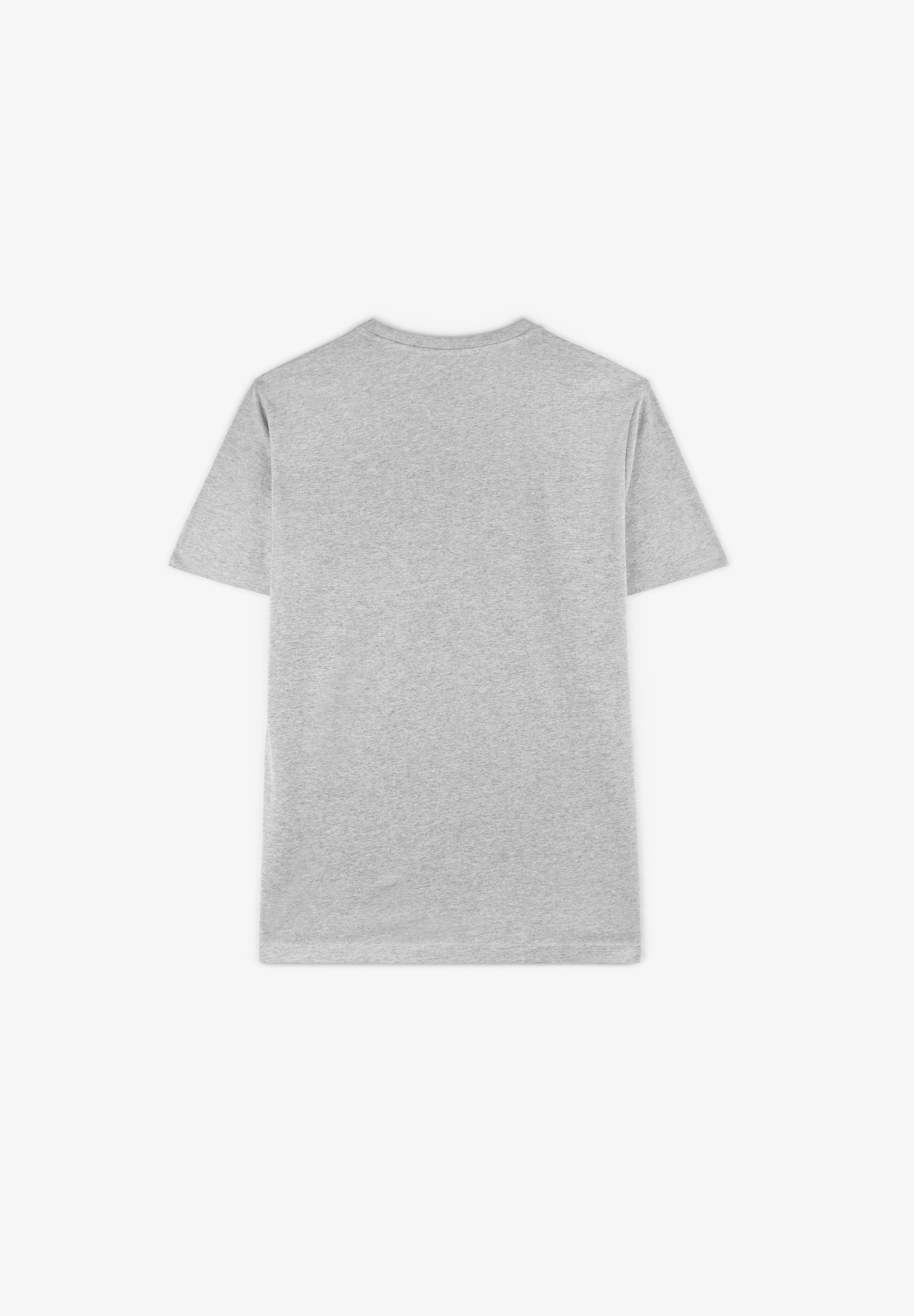 DICKIES | CAMISETA MAPLETON - Scalpers