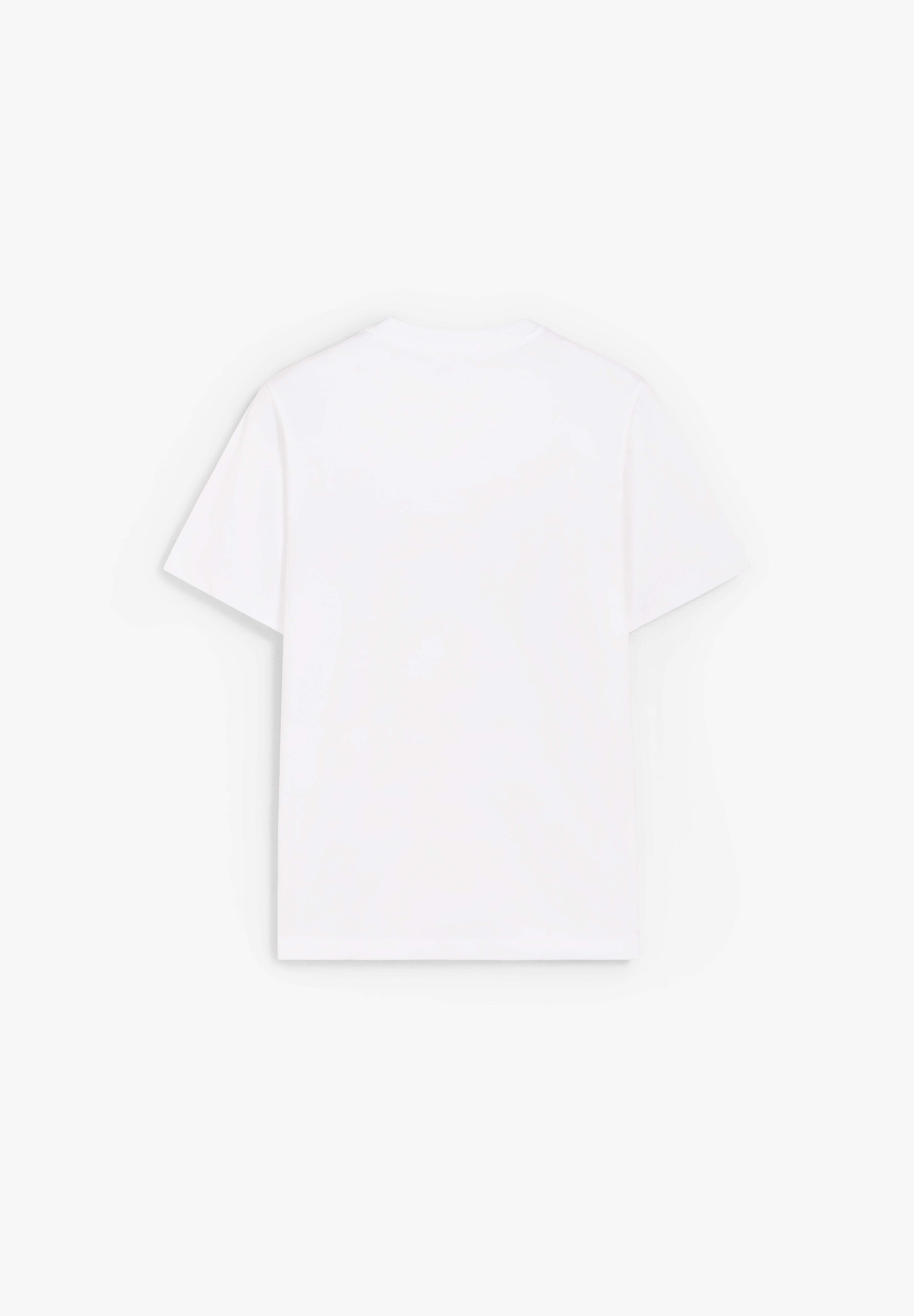 DICKIES | CAMIETA MAPLETON