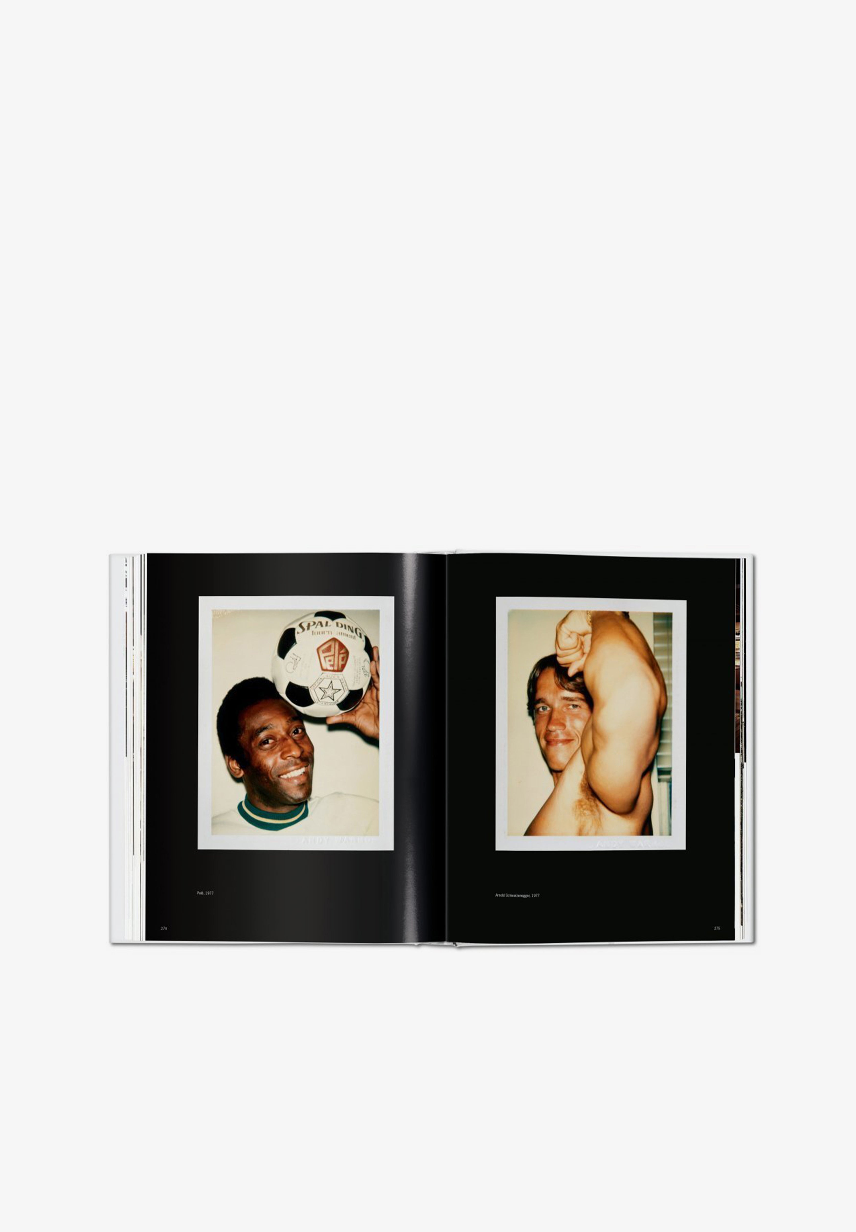 TASCHEN | LIBRO ANDY WARHOL POLAROIDS 1958-1987 - Scalpers