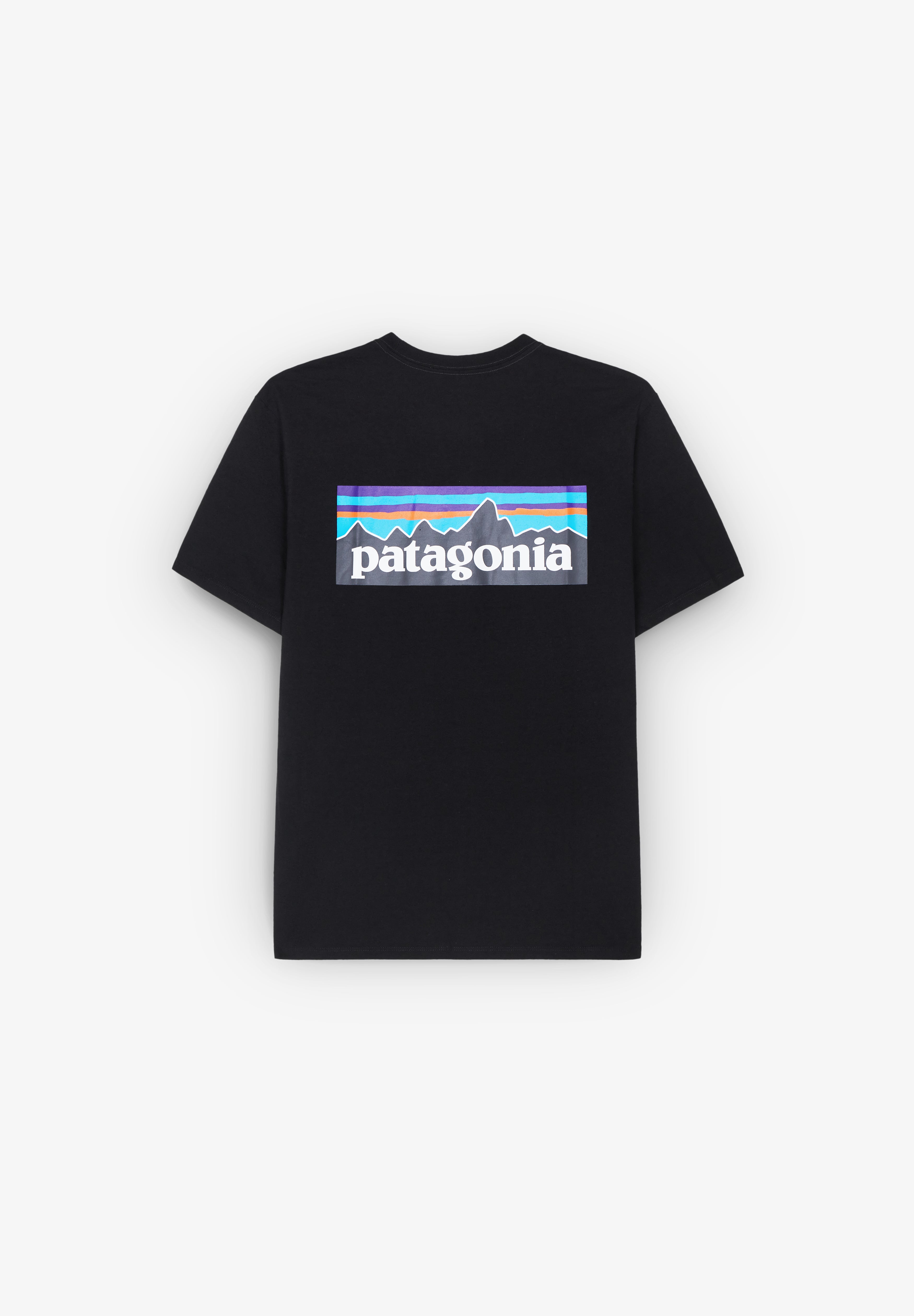PATAGONIA | CAMISETA P-6 LOGO HOMBRE - Scalpers