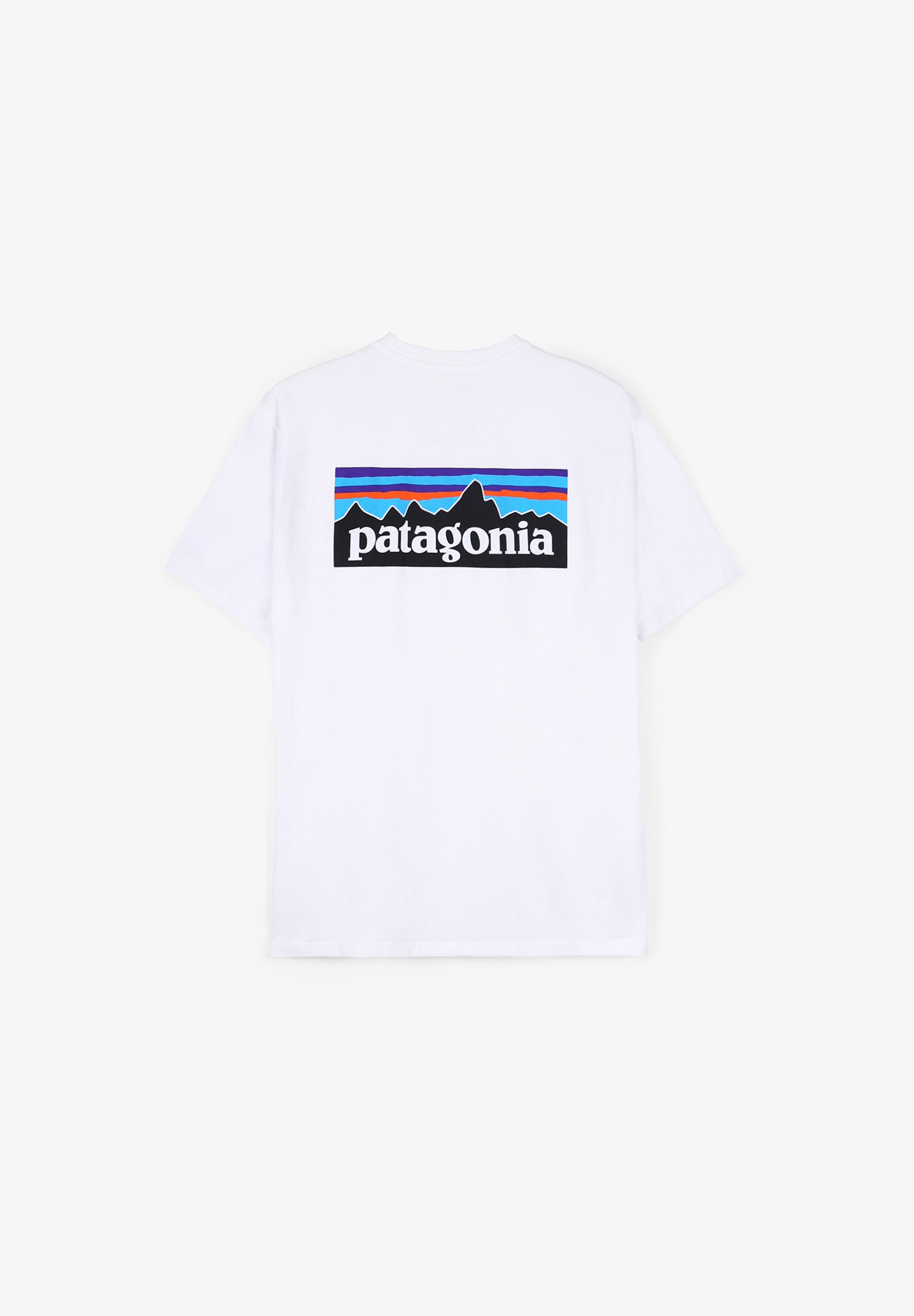PATAGONIA | CAMISETA P-6 LOGO HOMBRE - Scalpers