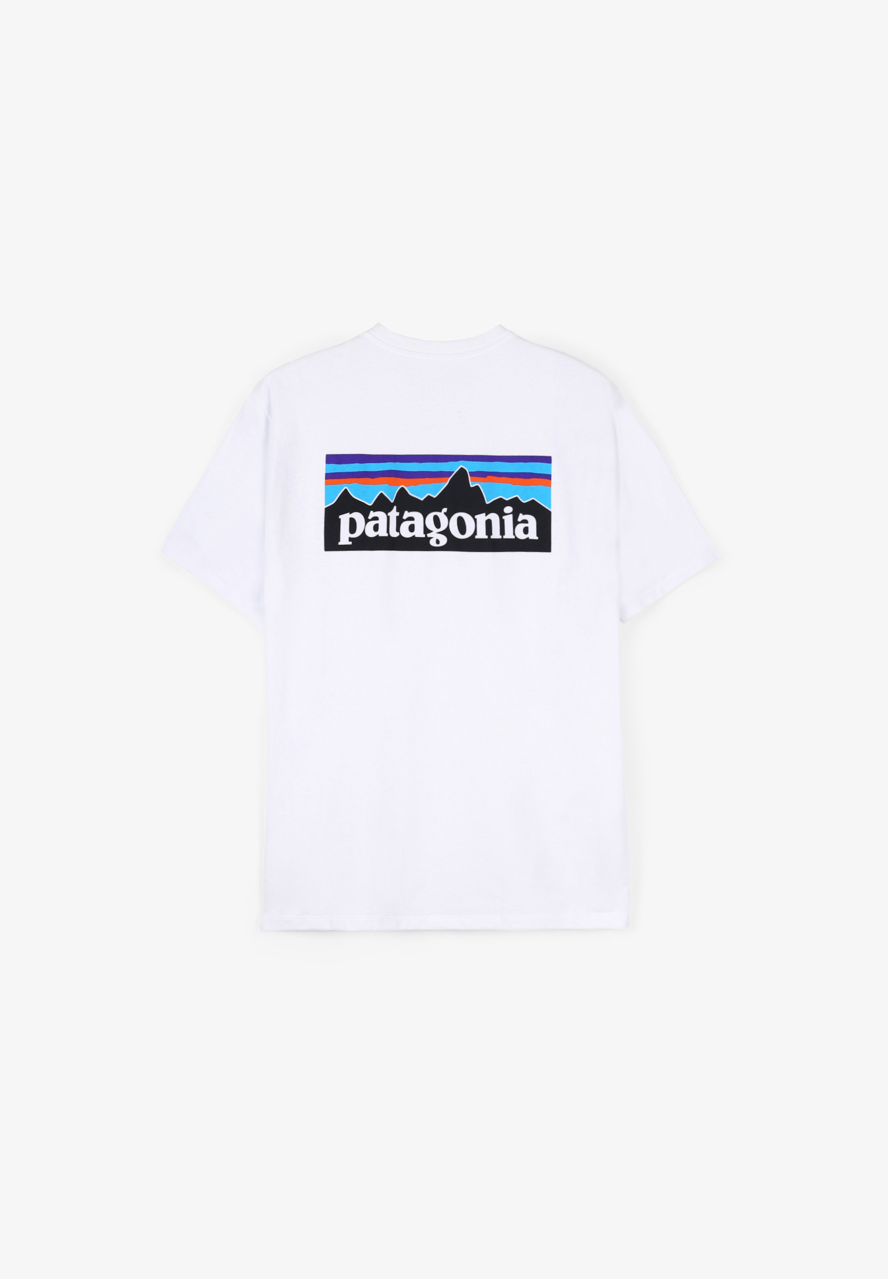 PATAGONIA | CAMISETA P-6 LOGO HOMBRE