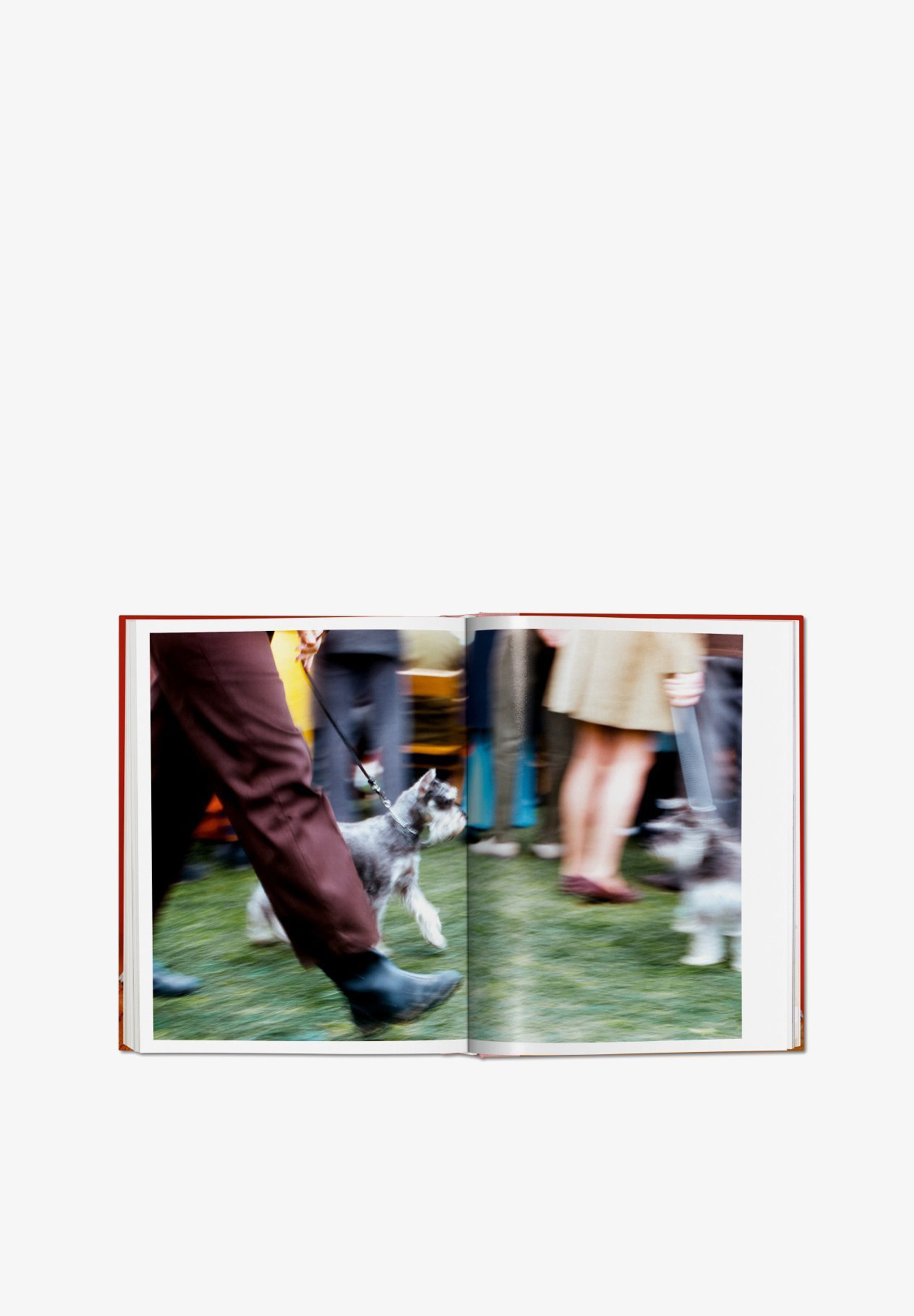 TASCHEN | LIBRO WALTER CHANDOHA DOGS - Scalpers