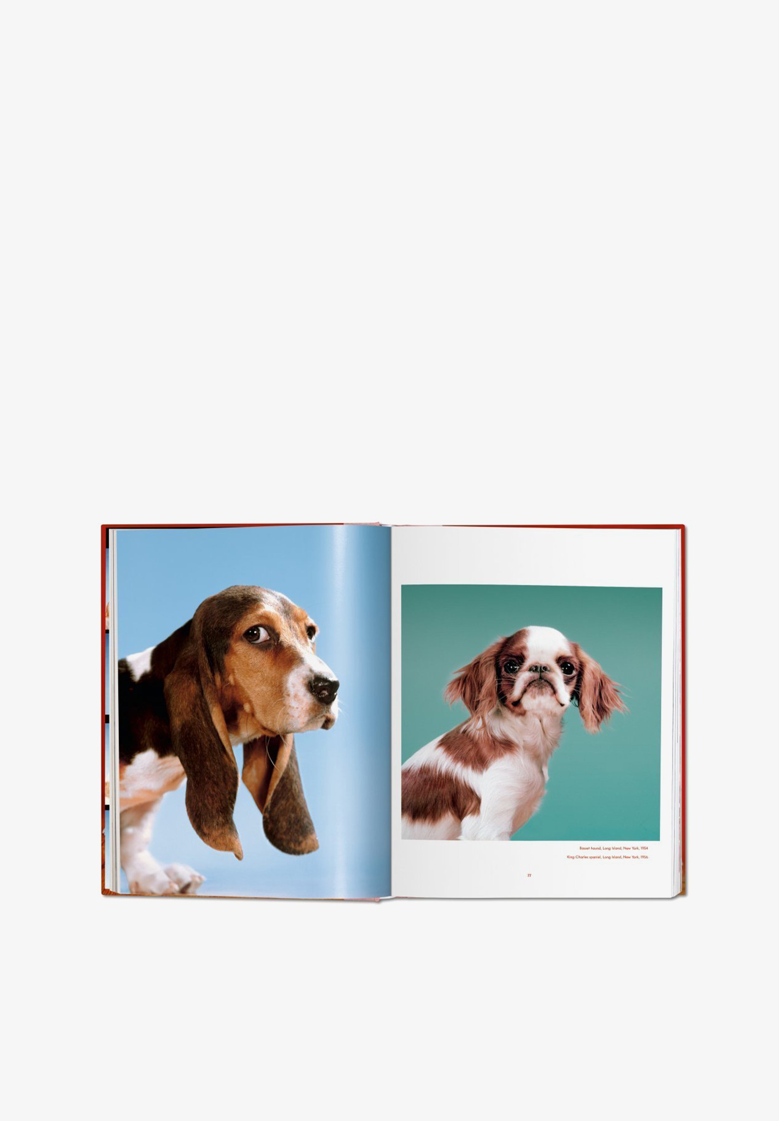 TASCHEN | LIBRO WALTER CHANDOHA DOGS - Scalpers