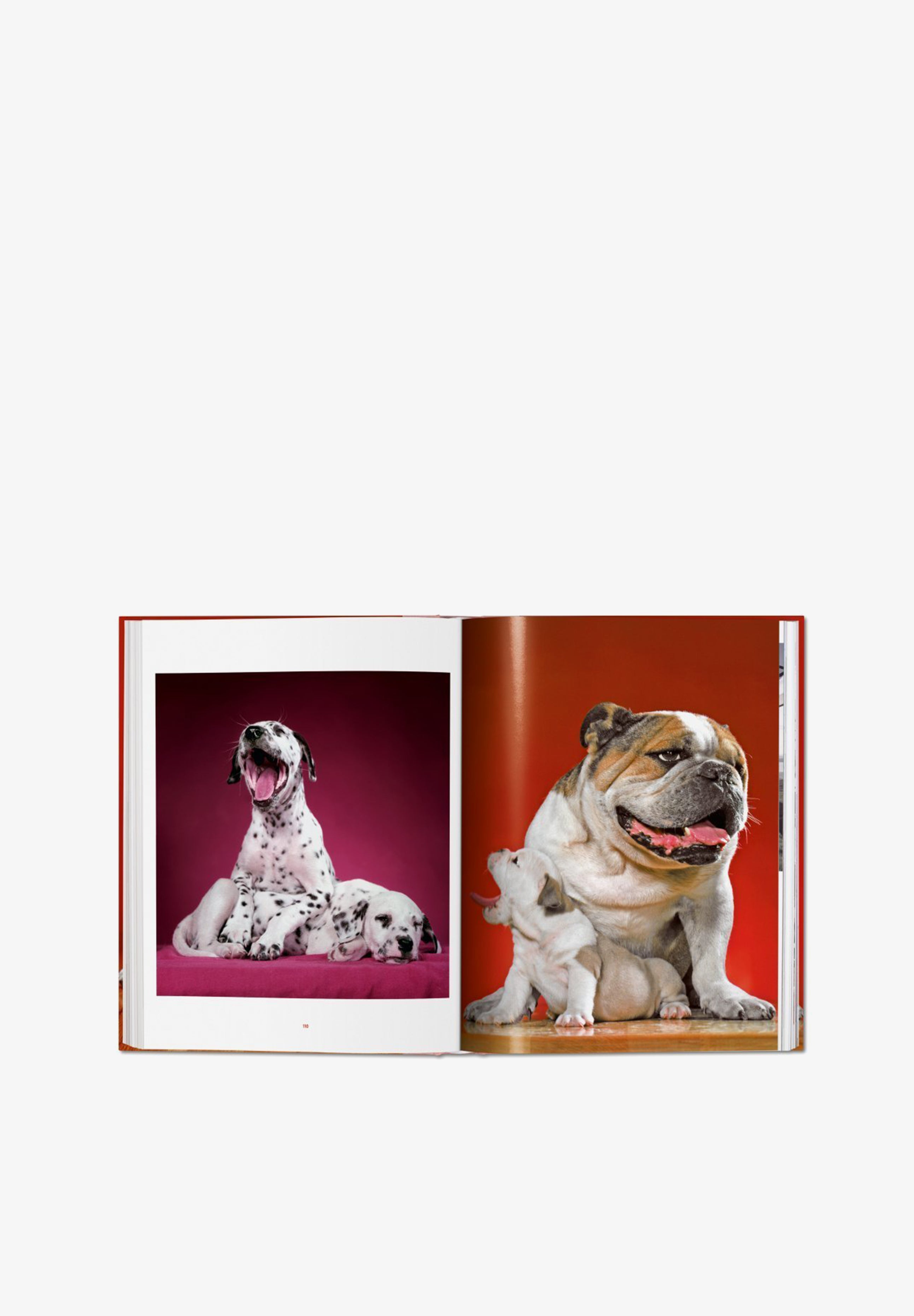TASCHEN | LIBRO WALTER CHANDOHA DOGS - Scalpers