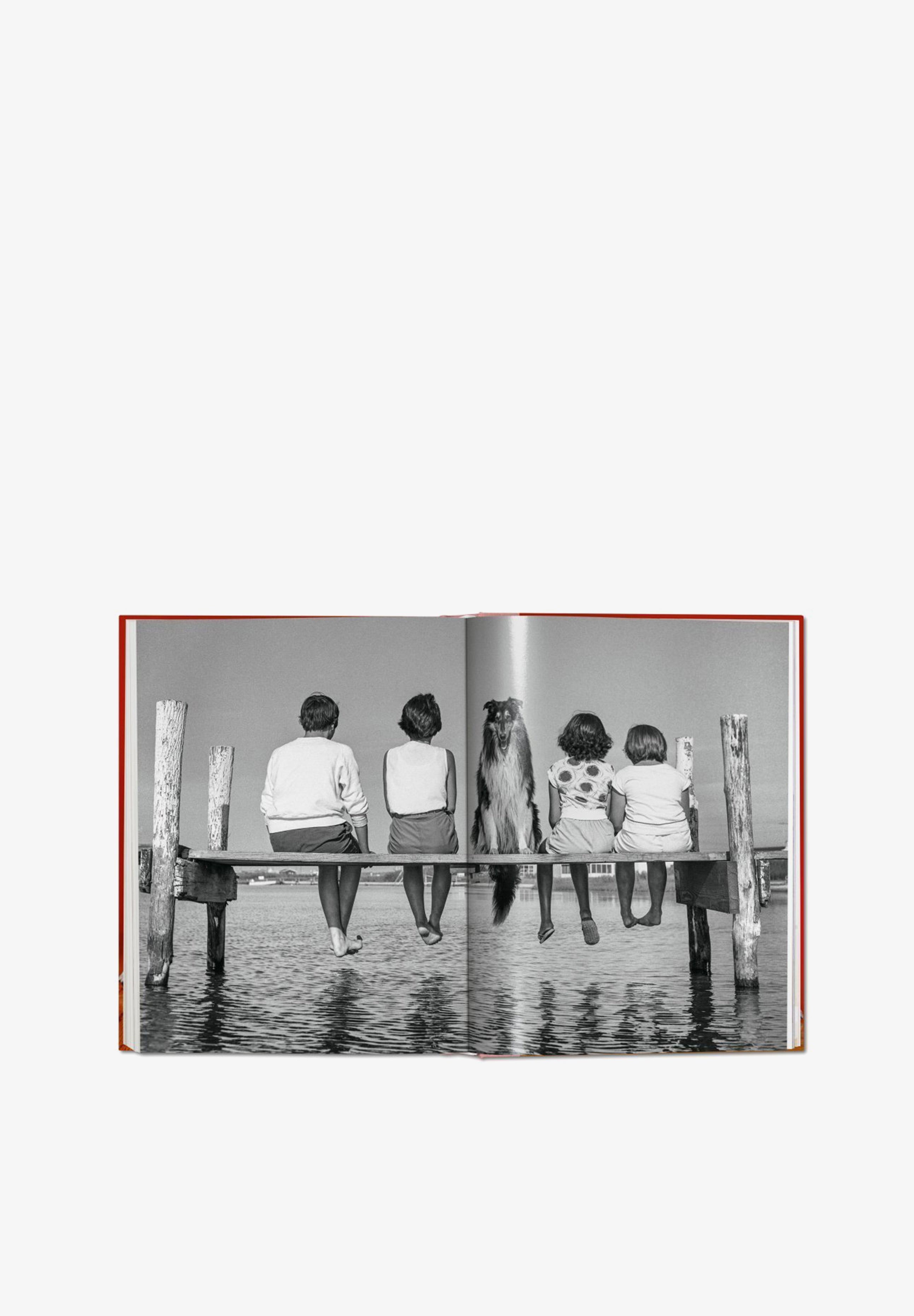 TASCHEN | LIBRO WALTER CHANDOHA DOGS - Scalpers