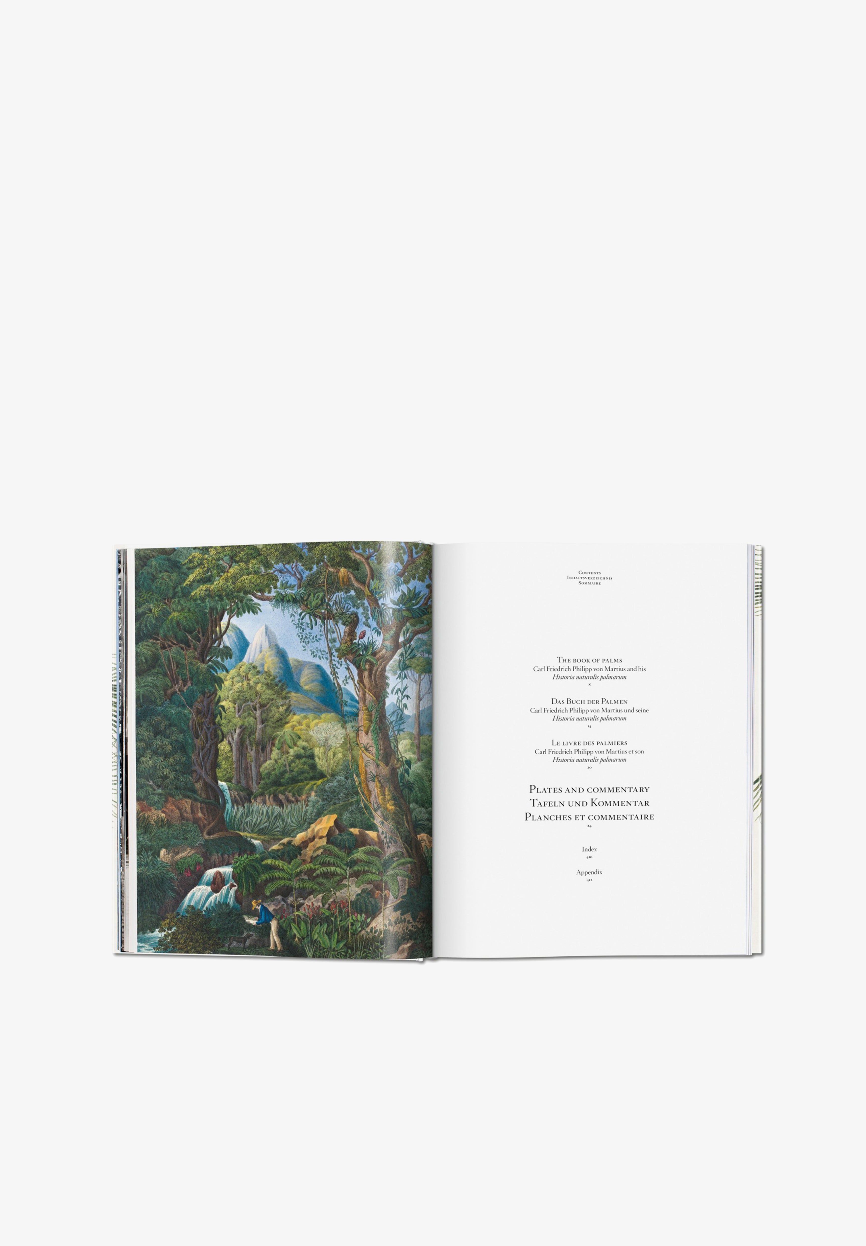 TASCHEN | LIBRO BOOK OF PALMS - Scalpers