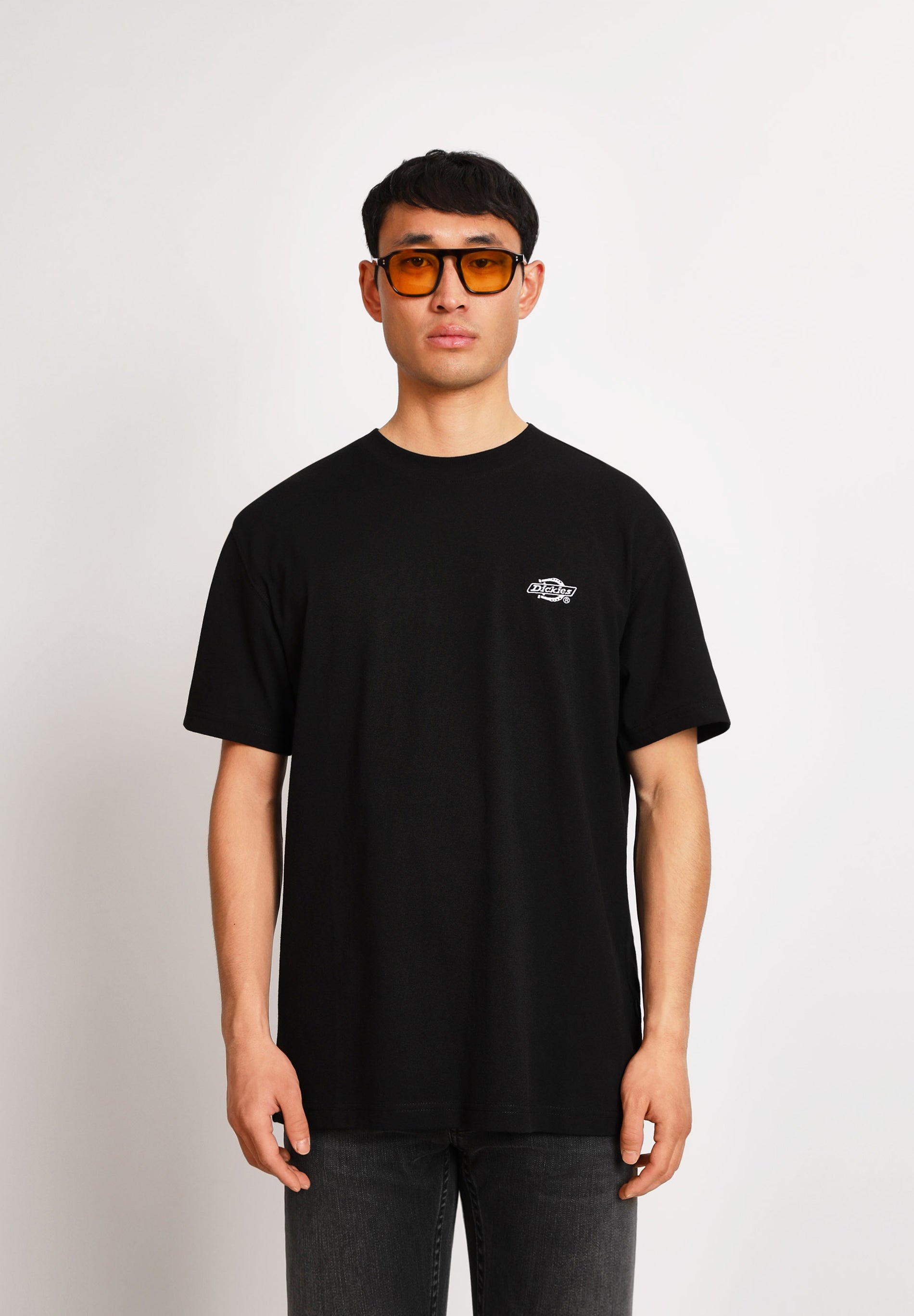 DICKIES | CAMISETA SUMMERDALE - Scalpers