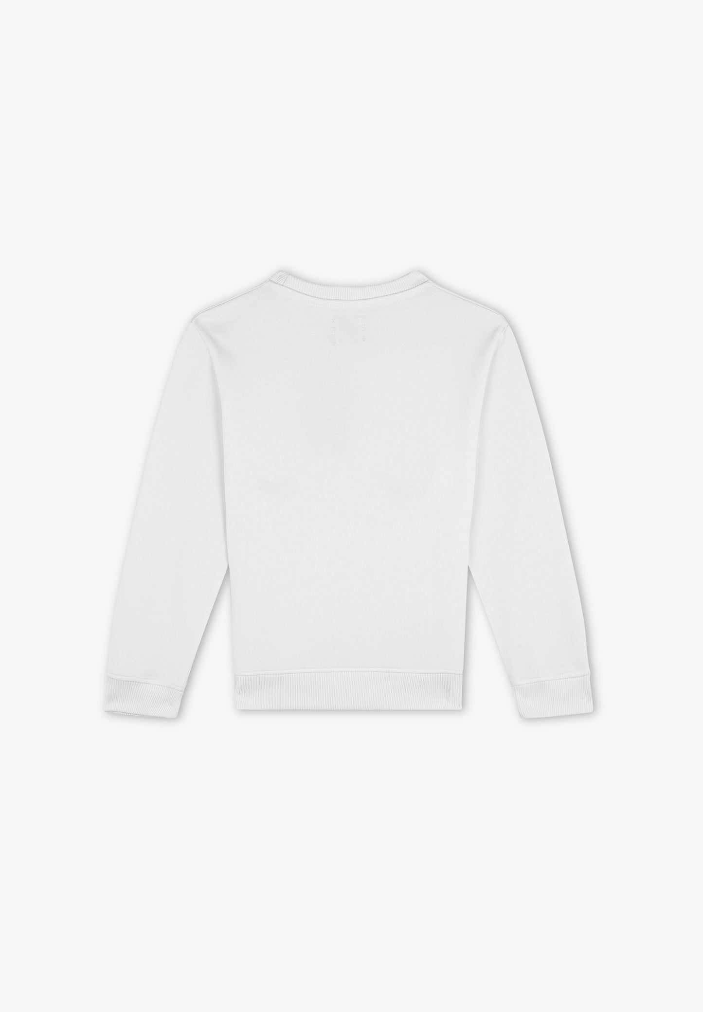 SUDADERA PRINT Y BORDADOS