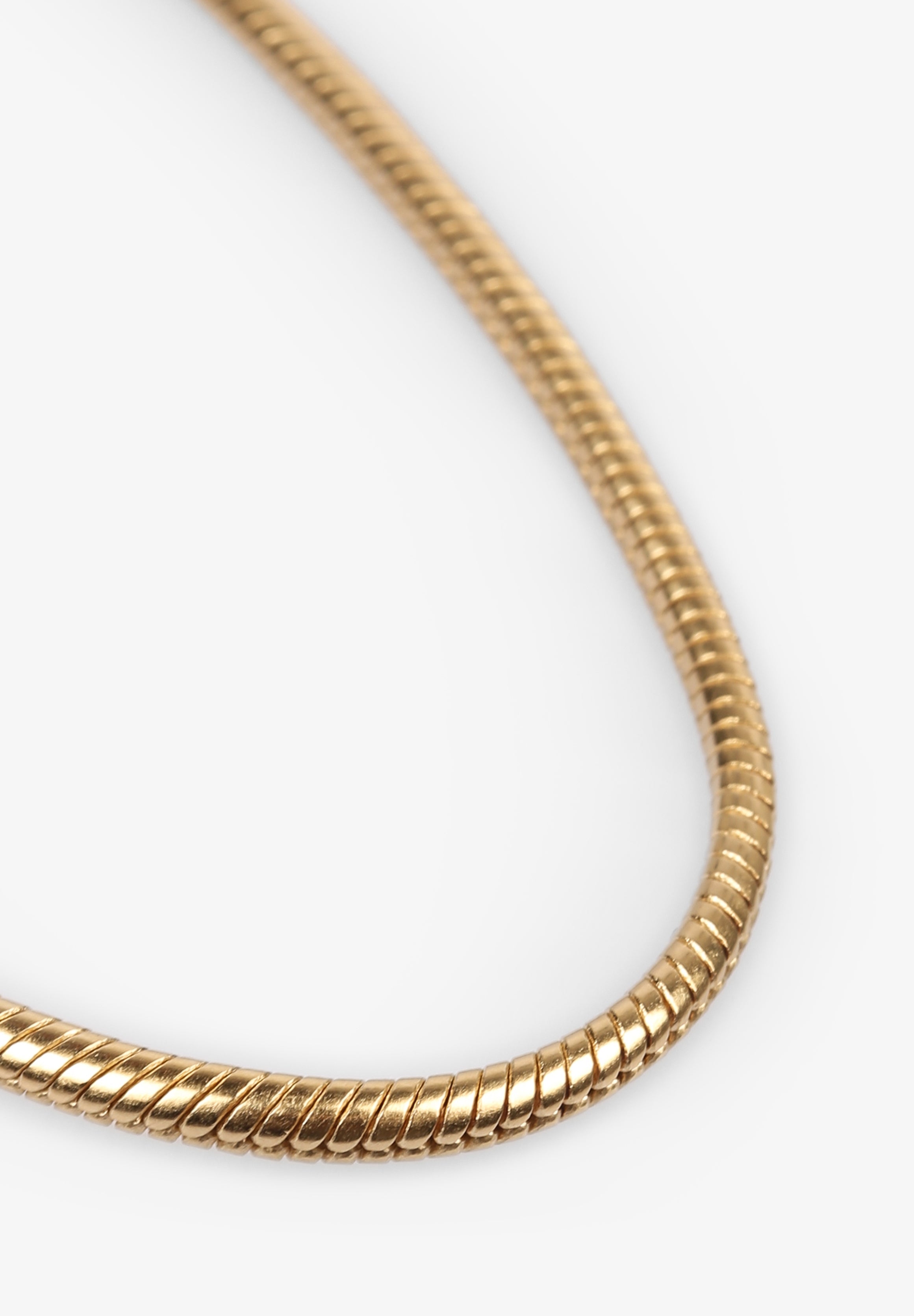 TWOJEYS | COLLAR BALI CHAIN - Scalpers