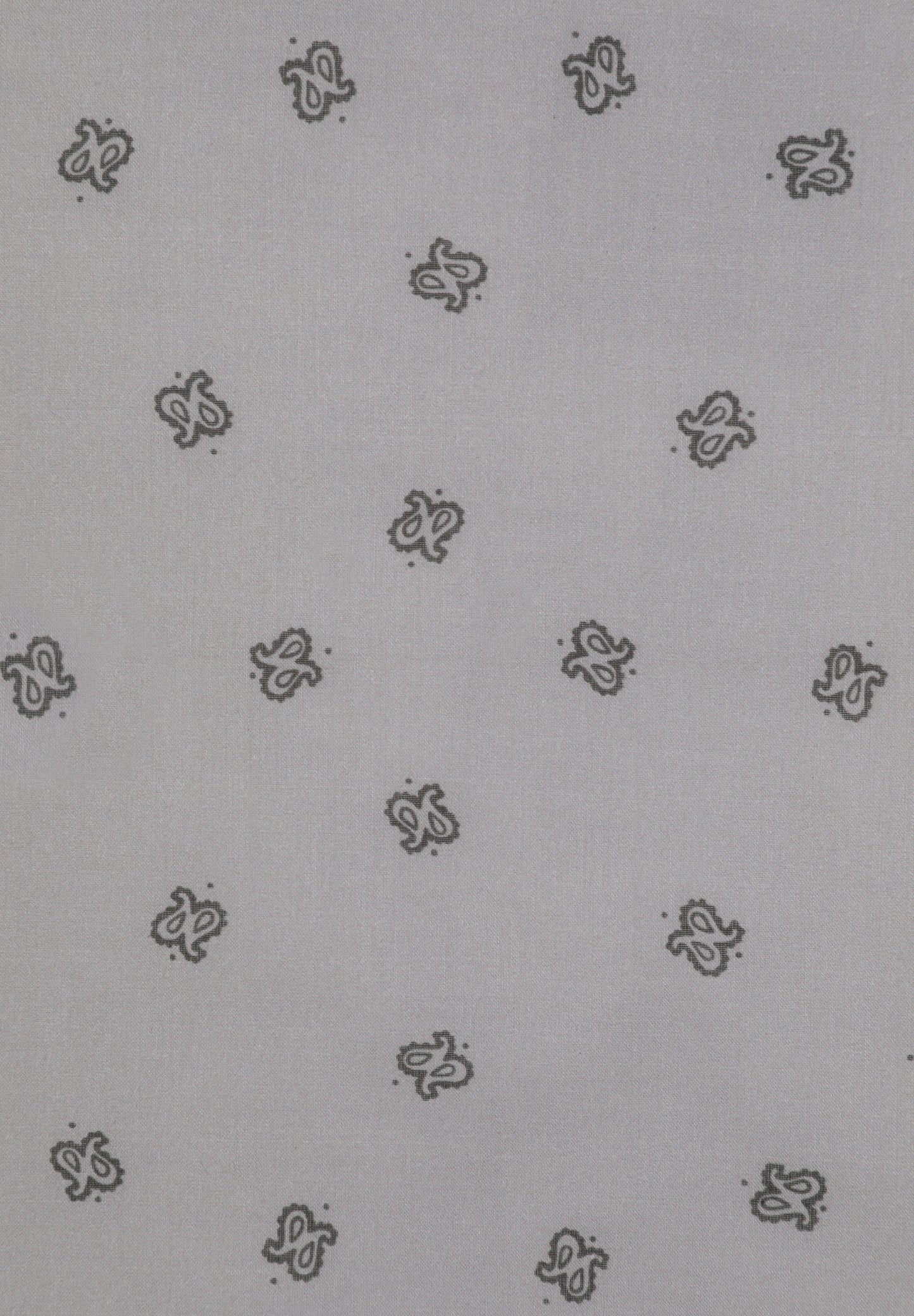 PAÑUELO MINI PAISLEY