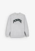 POMPEII BRAND | SUDADERA GRAPHIC