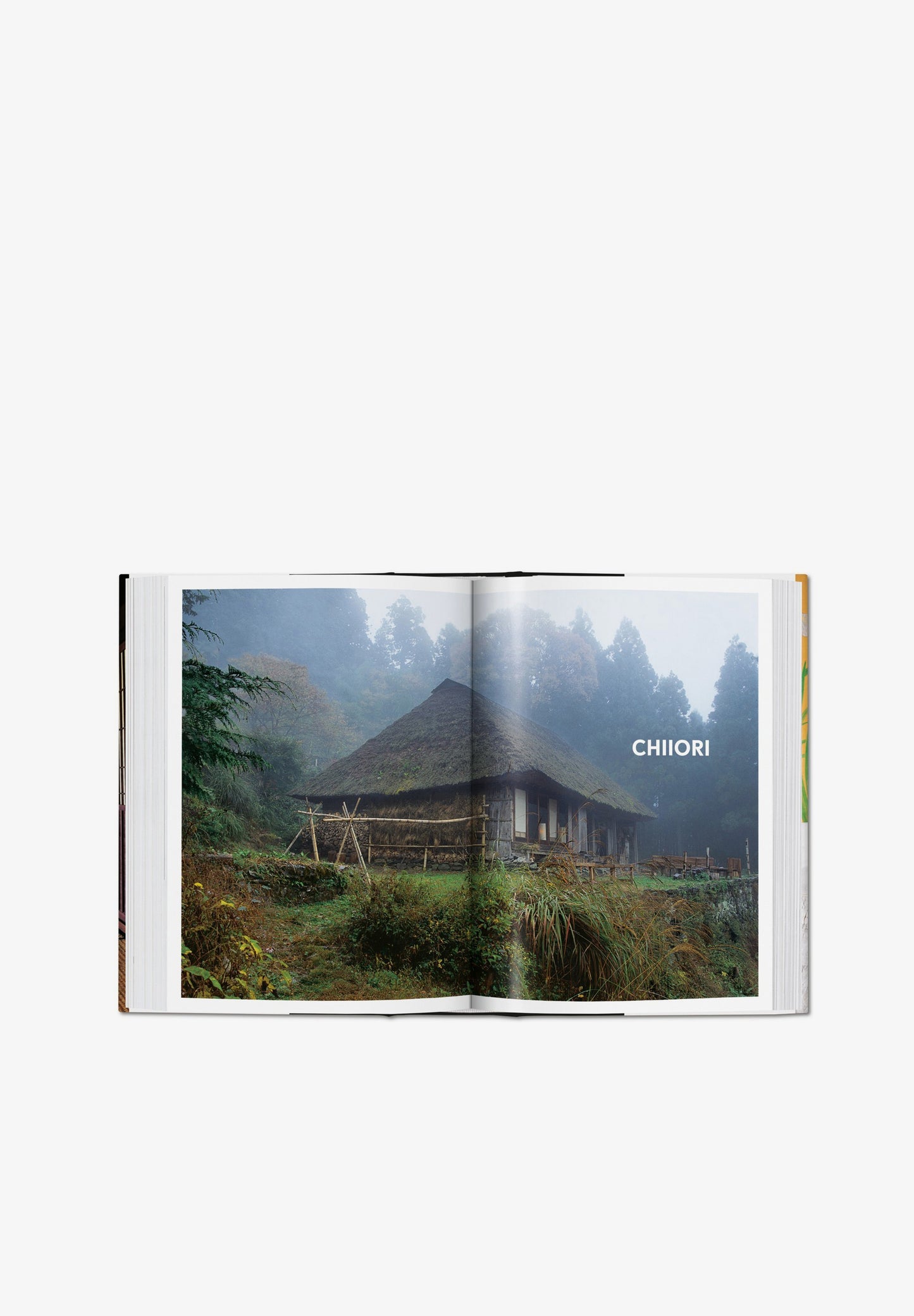 TASCHEN | LIBRO LIVING IN JAPAN