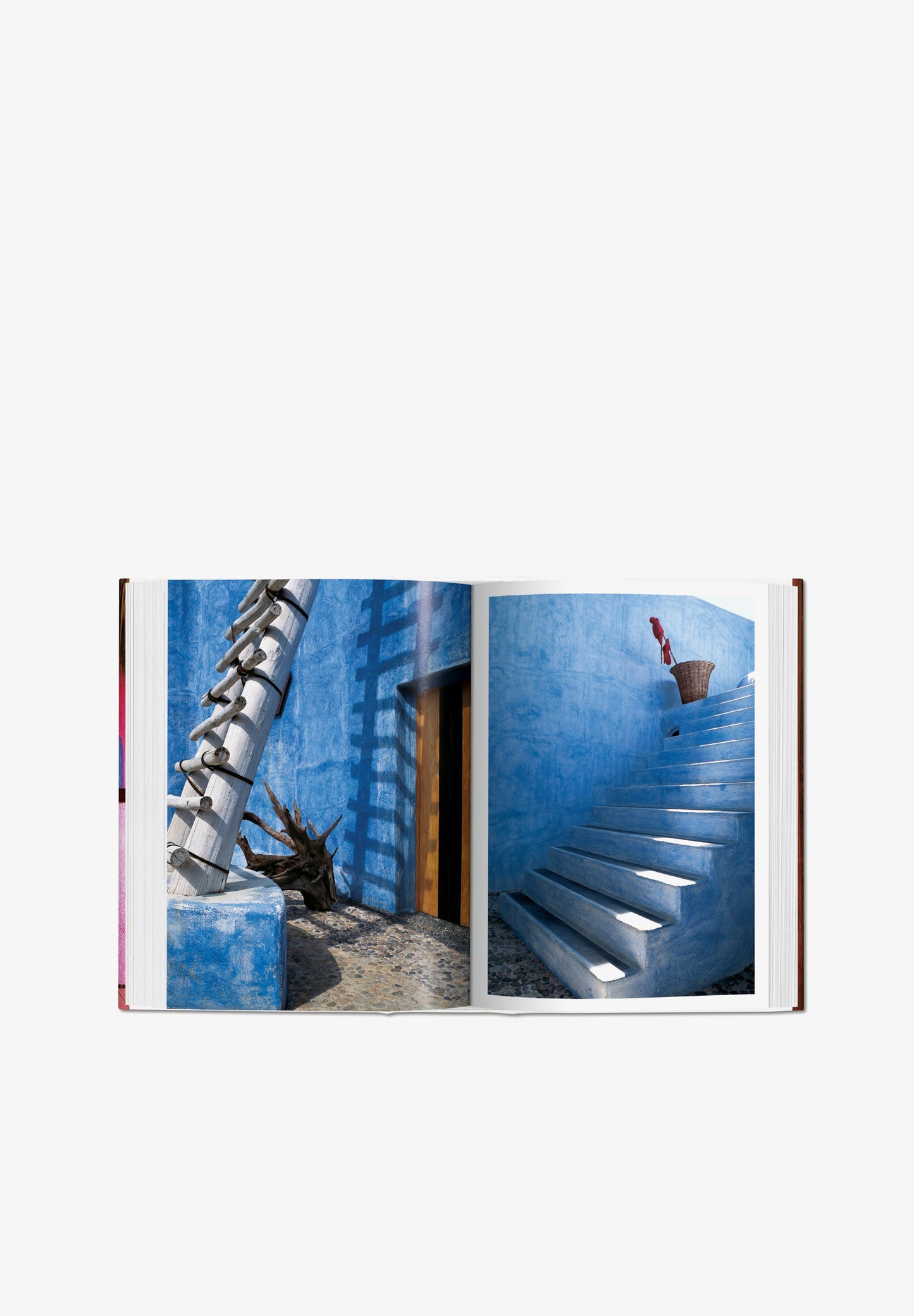 TASCHEN | LIBRO LIVING IN MEXICO