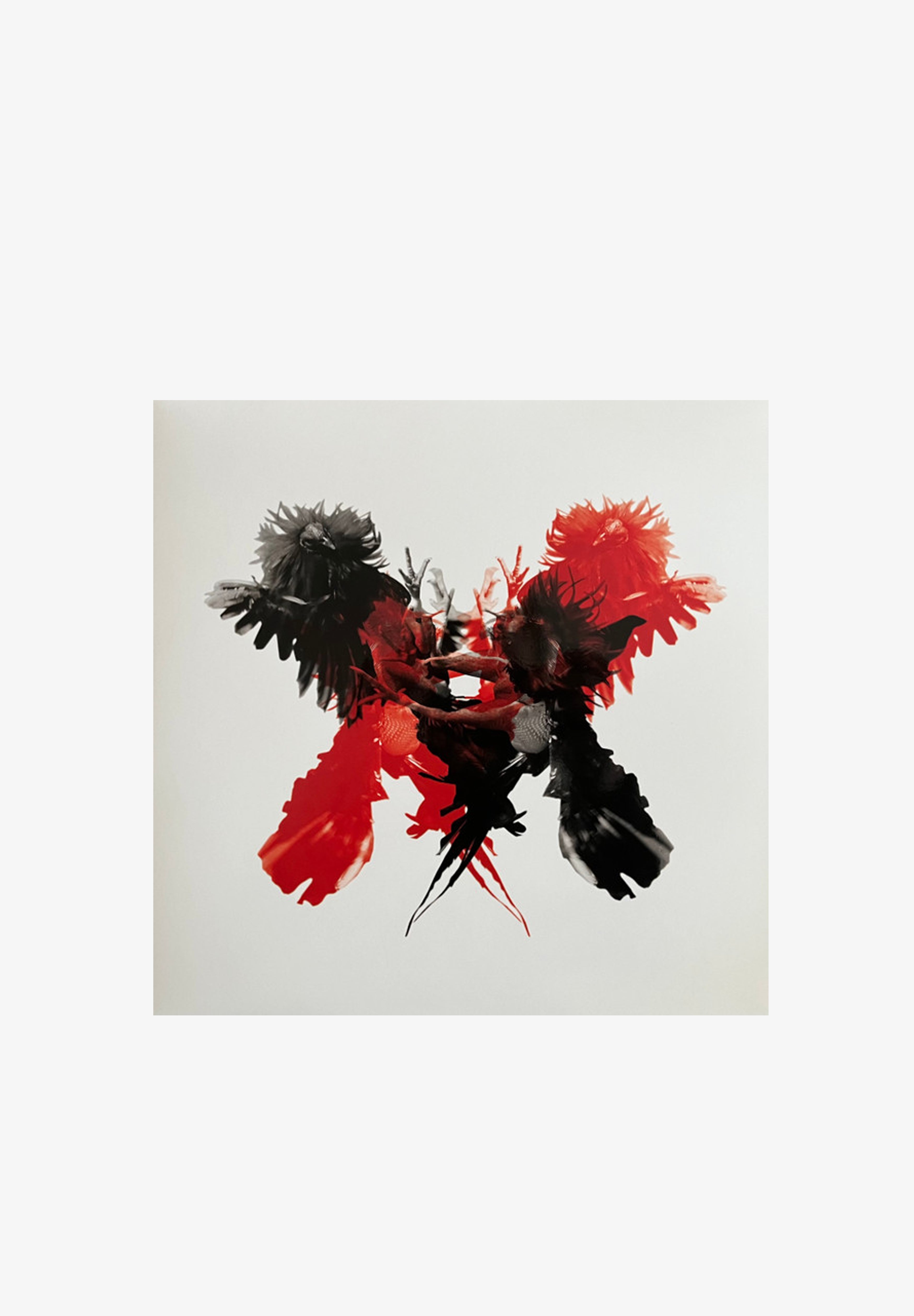 SONY MUSIC | VINILO KINGS OF LEON: ONLY BY THE NIGHT