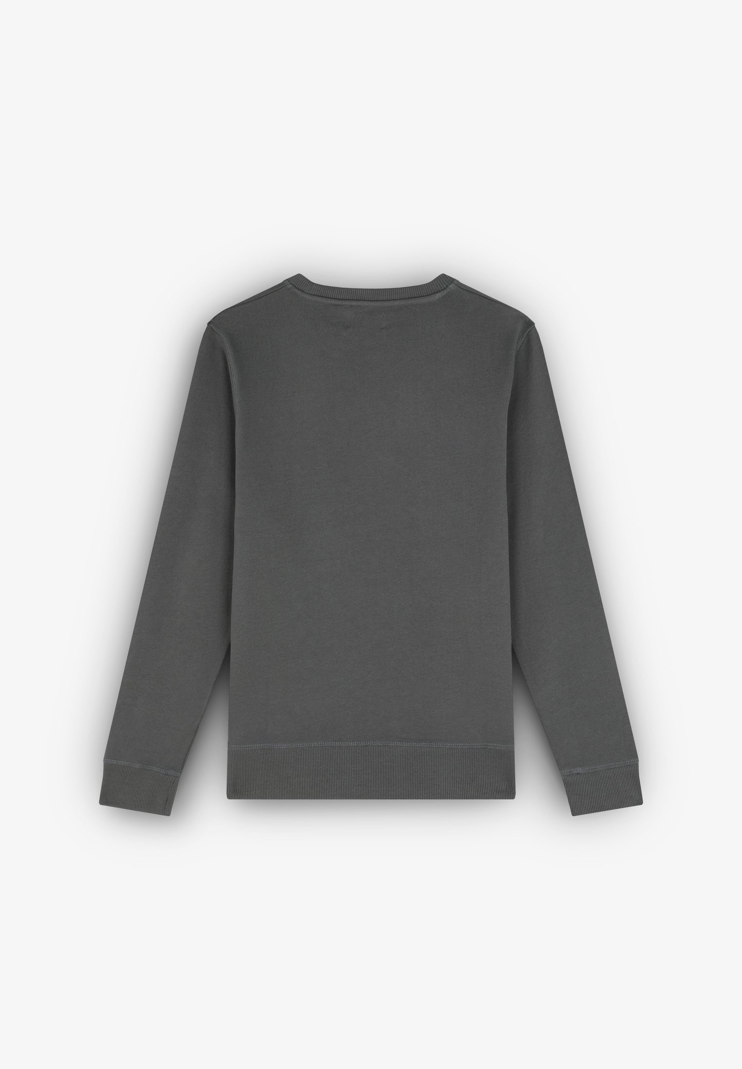 SUDADERA BÁSICA CALAVERA BORDADA