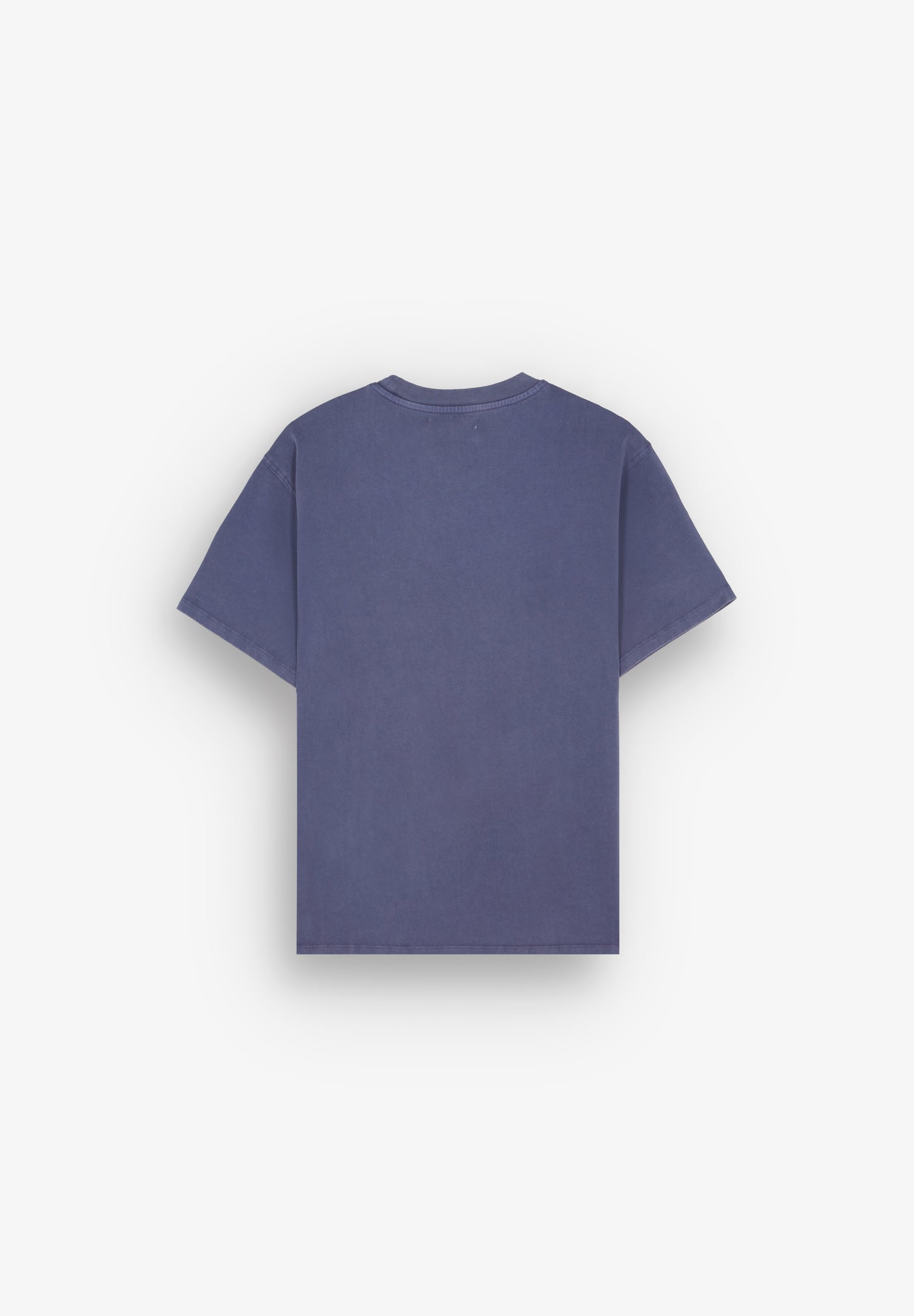 CAMISETA PRINT BLAZE