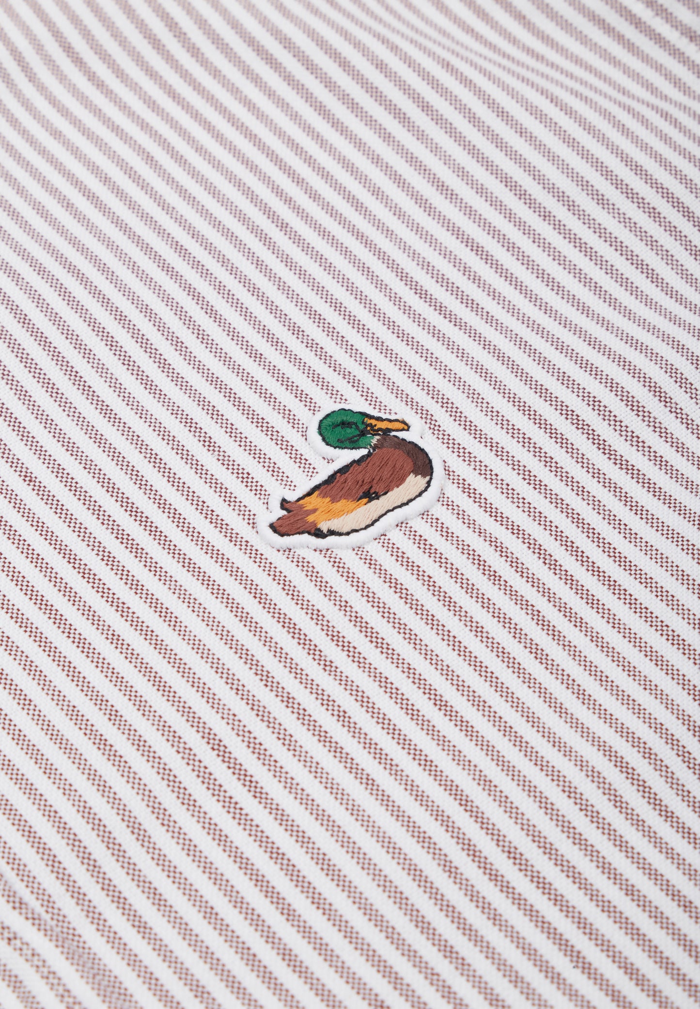 EDMMOND STUDIOS | CAMISA BD STRIPED DUCK EDITION