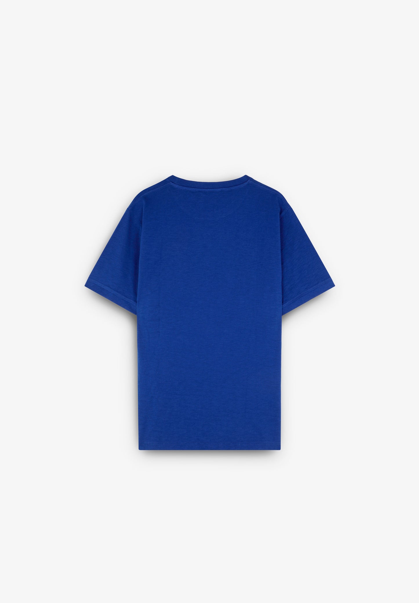 CAMISETA BORDADA EFECTO LAVADO
