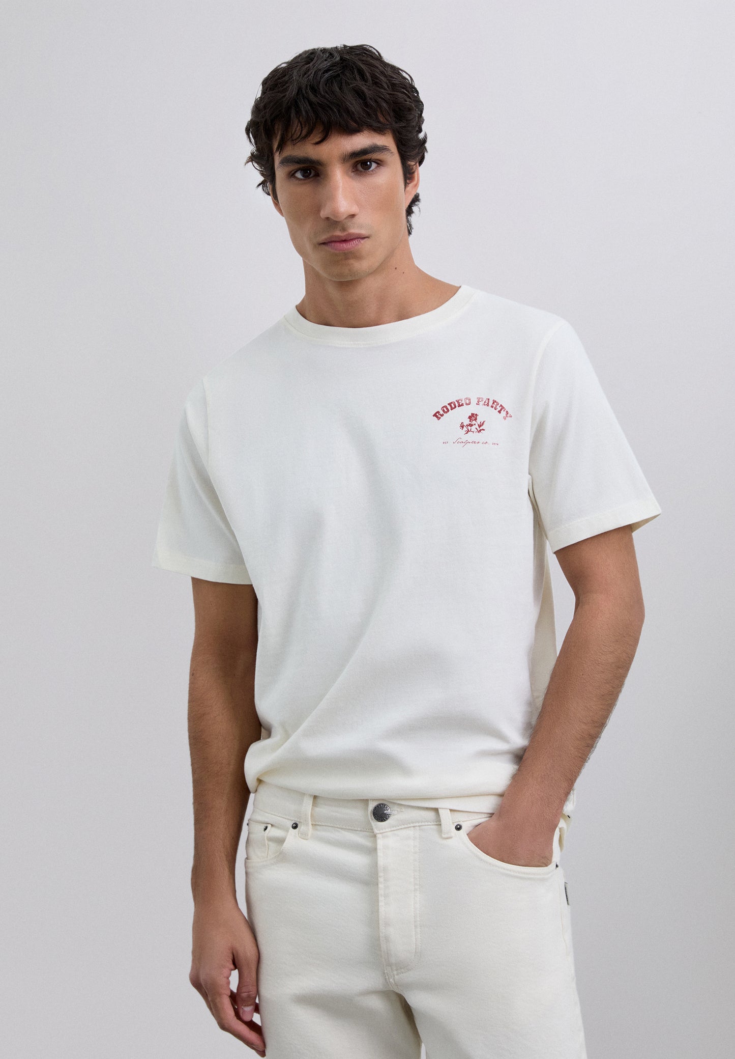 CAMISETA PRINT LOGO