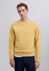 SUDADERA BORDADA ALGODÓN