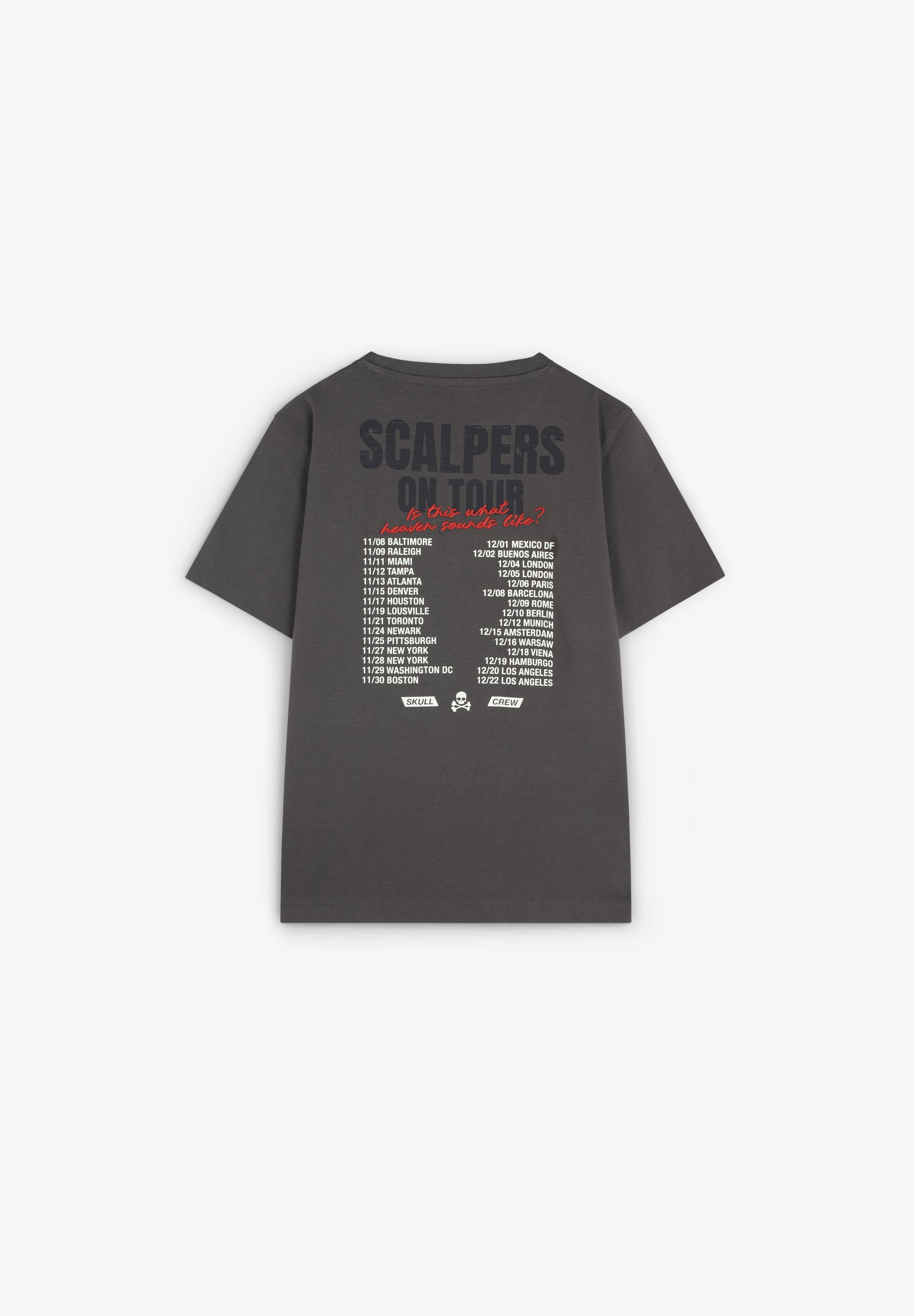 CAMISETA PRINT TOUR