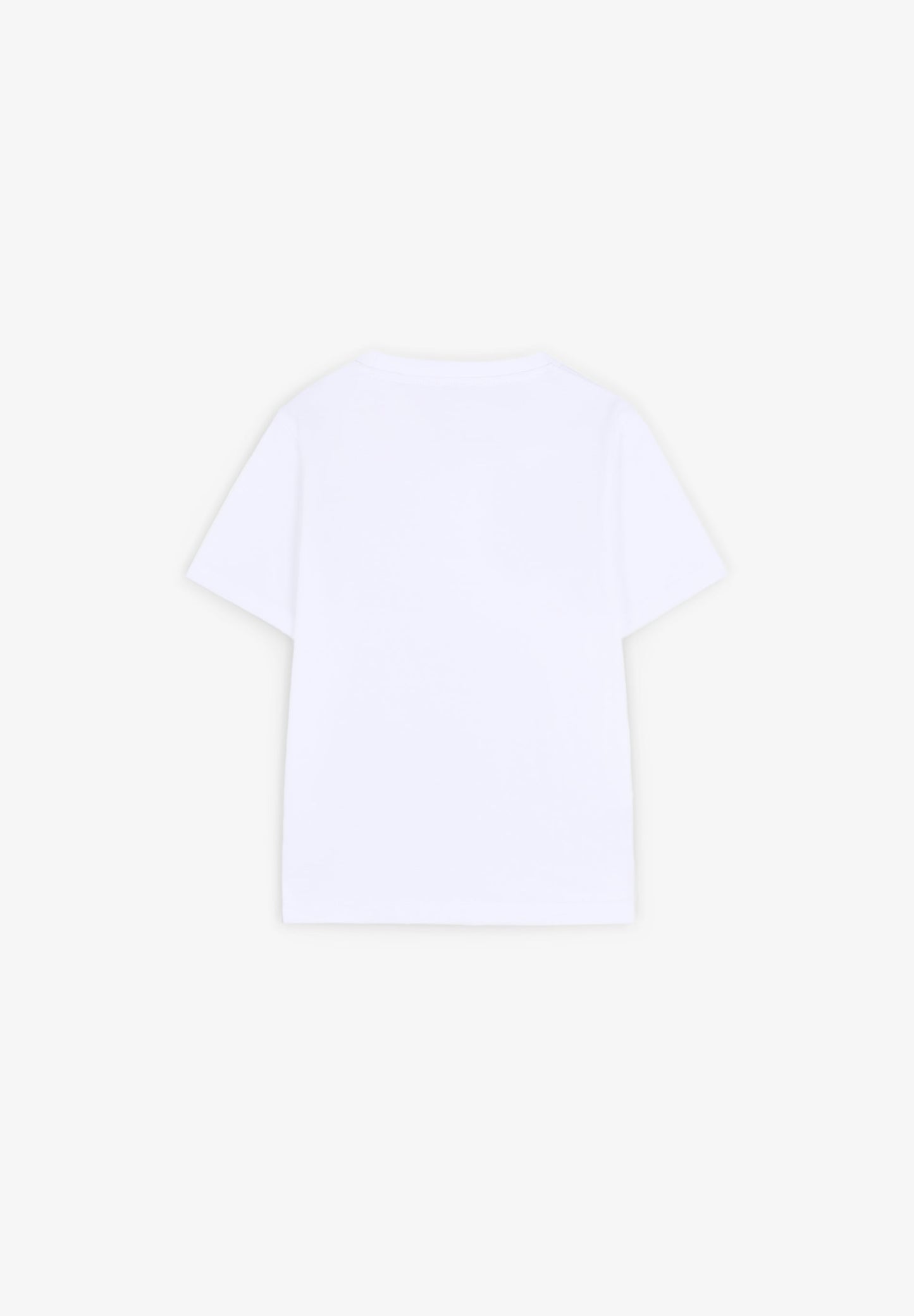 CAMISETA CALAVERA PRINT
