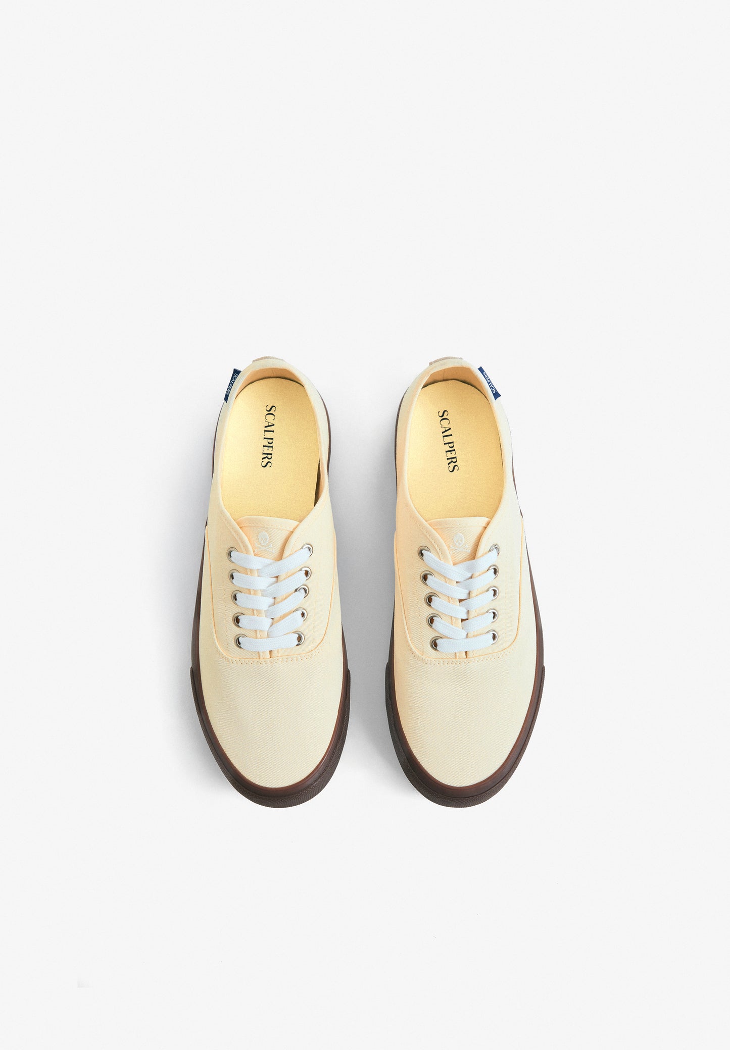 ZAPATILLA CANVAS LOW CUT