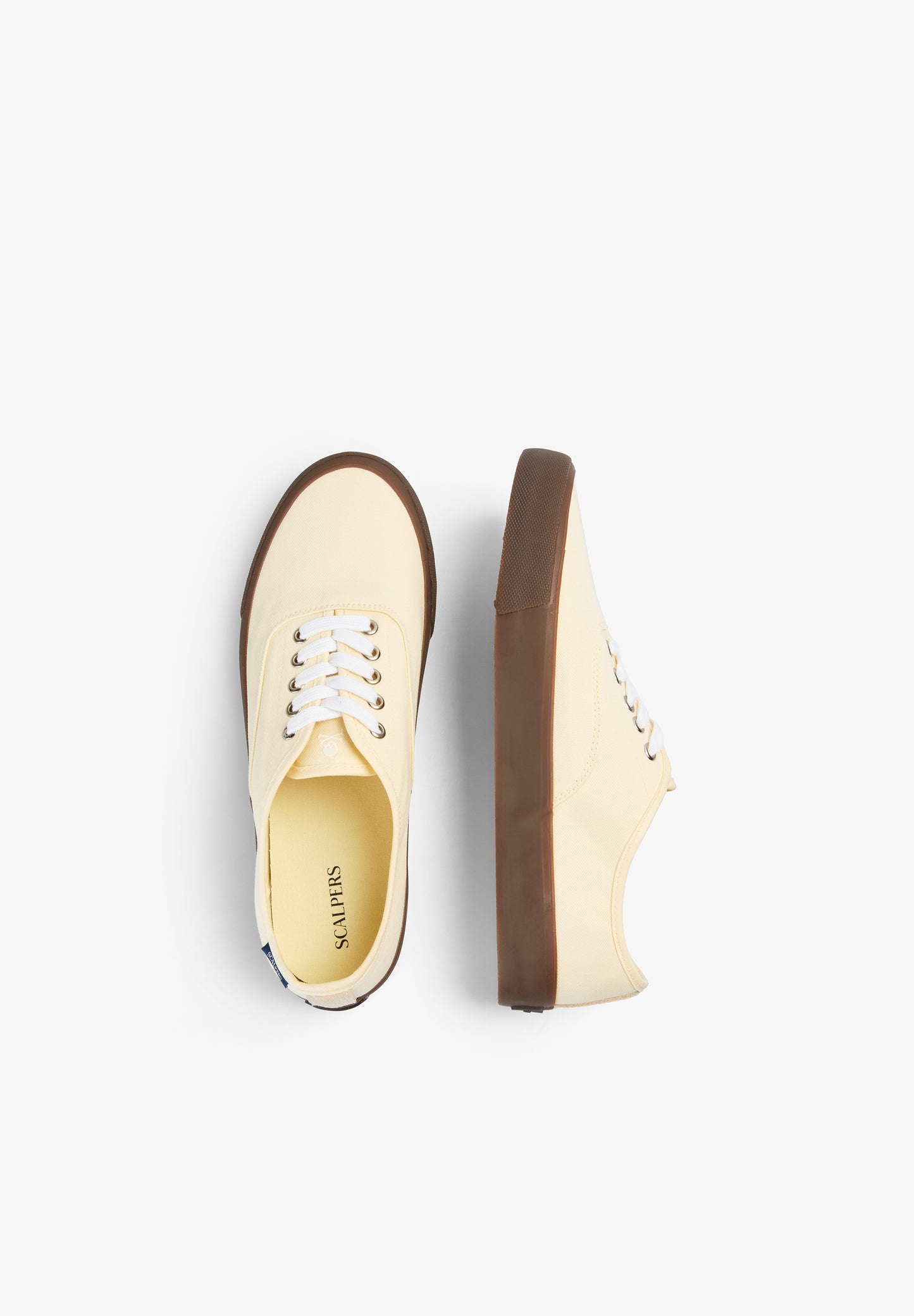 ZAPATILLA CANVAS LOW CUT