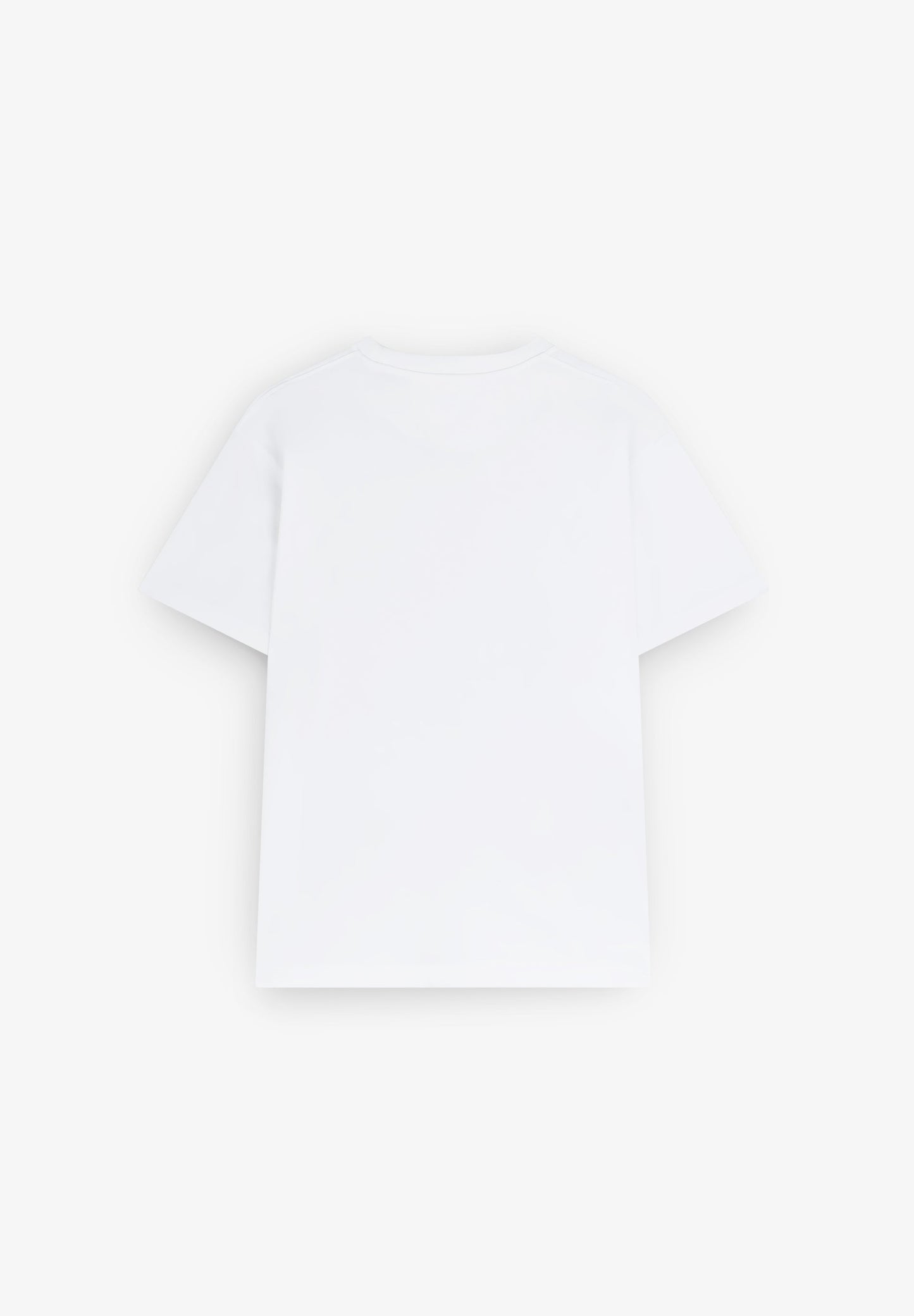 CAMISETA HEAVY WEIGHT ALGODÓN