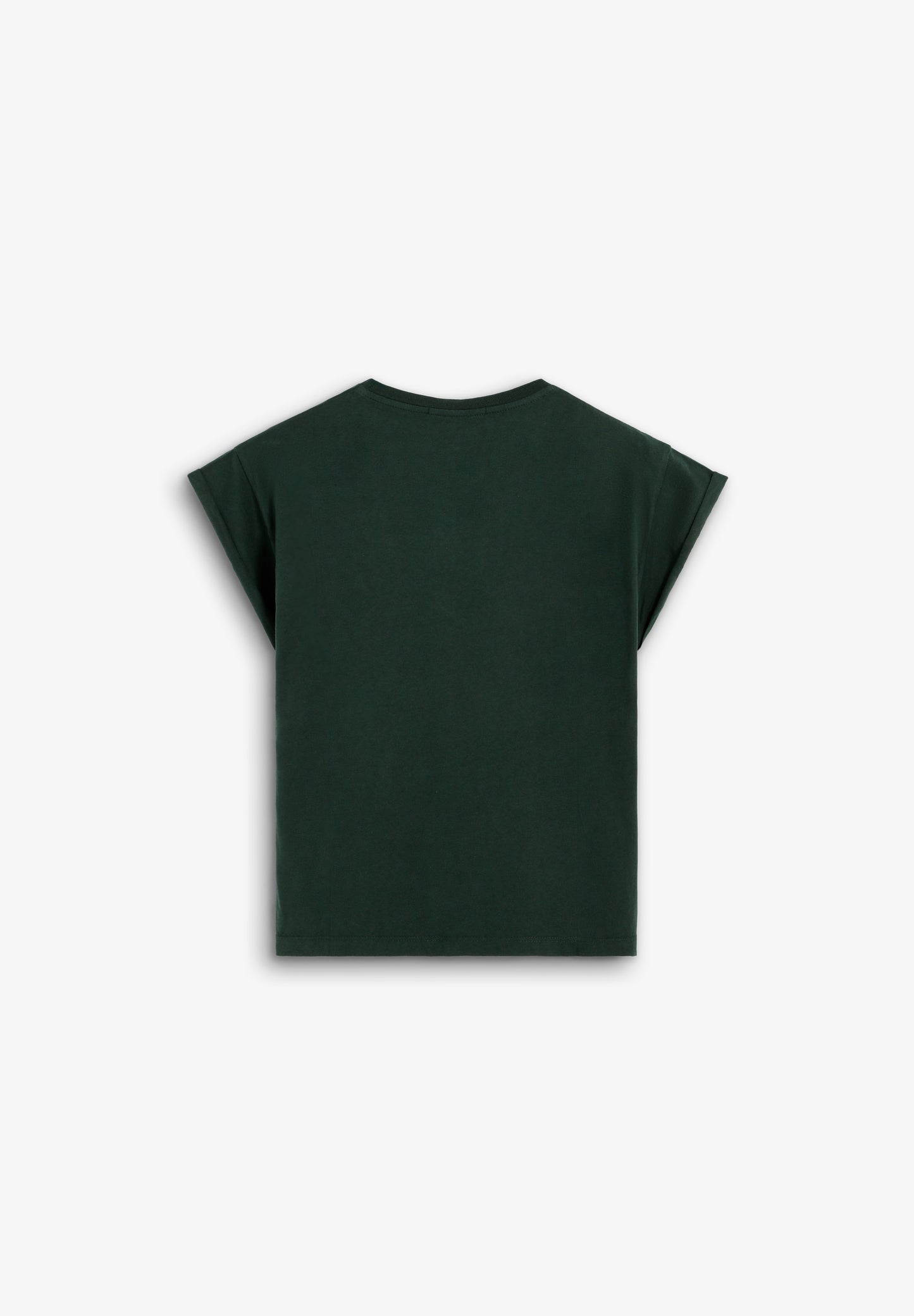 CAMISETA BÁSICA CALAVERA