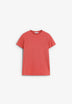 SCPLAINCENTRALSKULL TEE