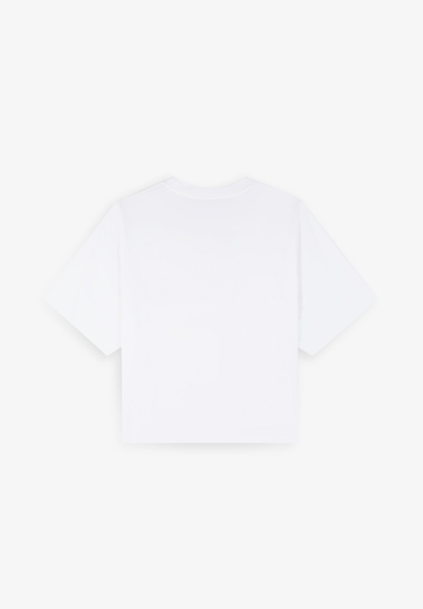 CAMISETA DETALLE BORDADO