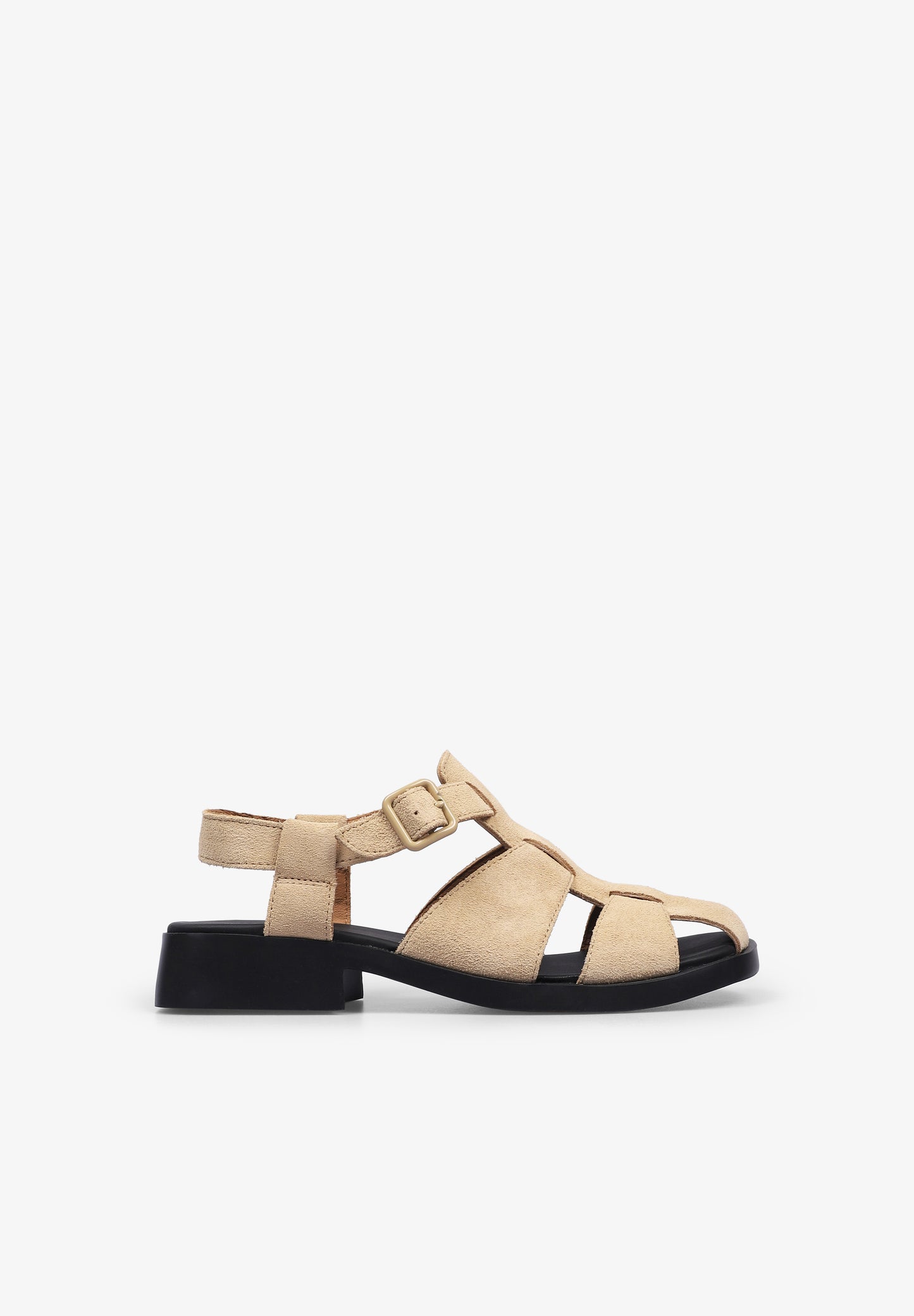 CAMPER | CANGREJERA DANA