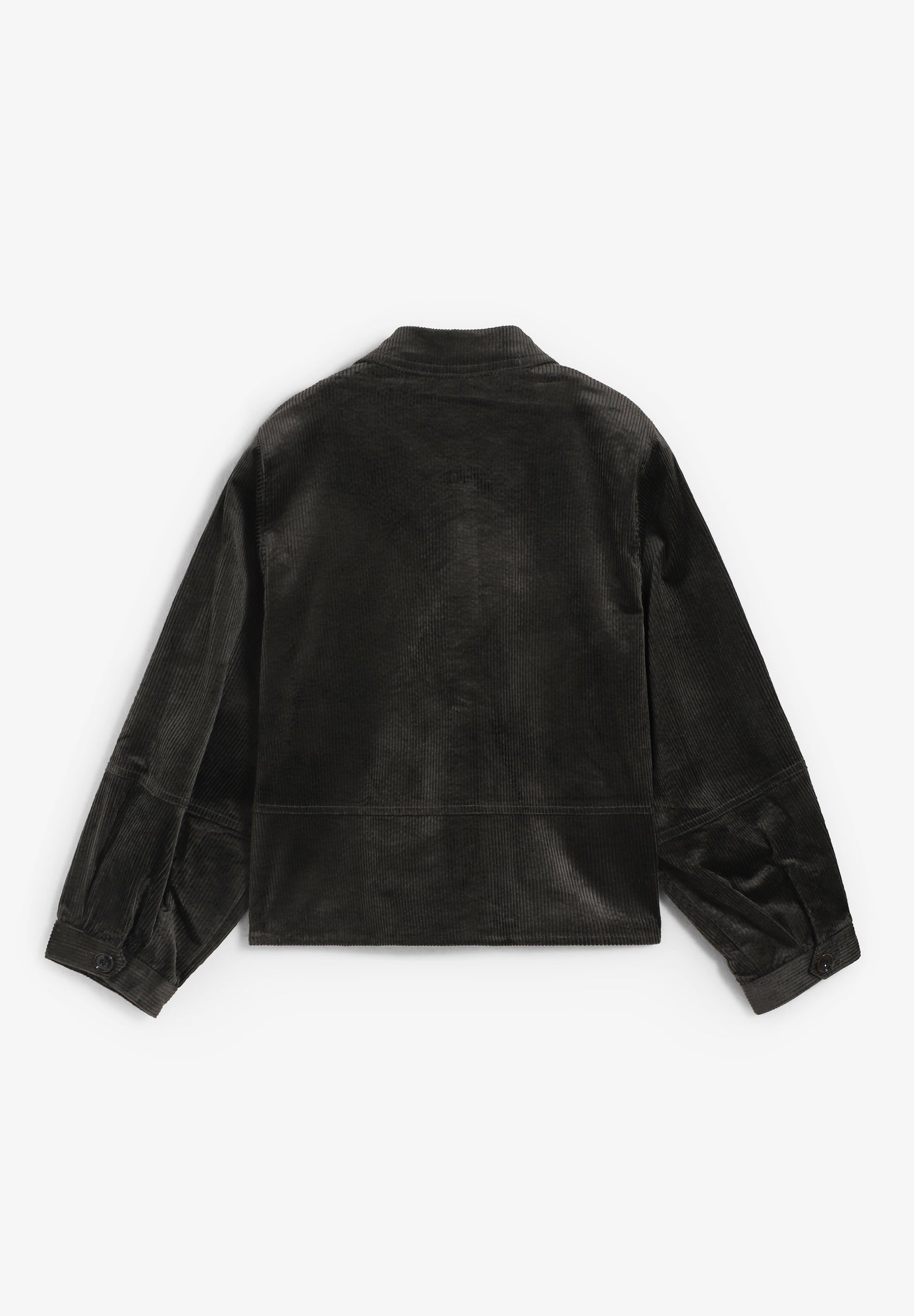 SESSUN | CAMISA LEOTOWN