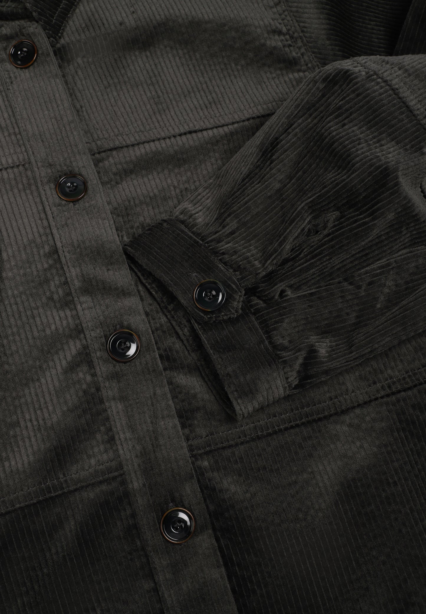 SESSUN | CAMISA LEOTOWN