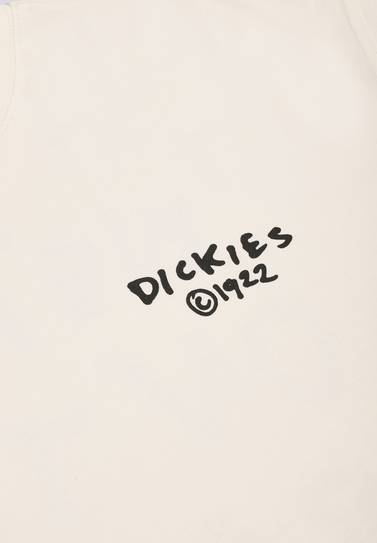 DICKIES | CAMISETA SNEEDVILLE
