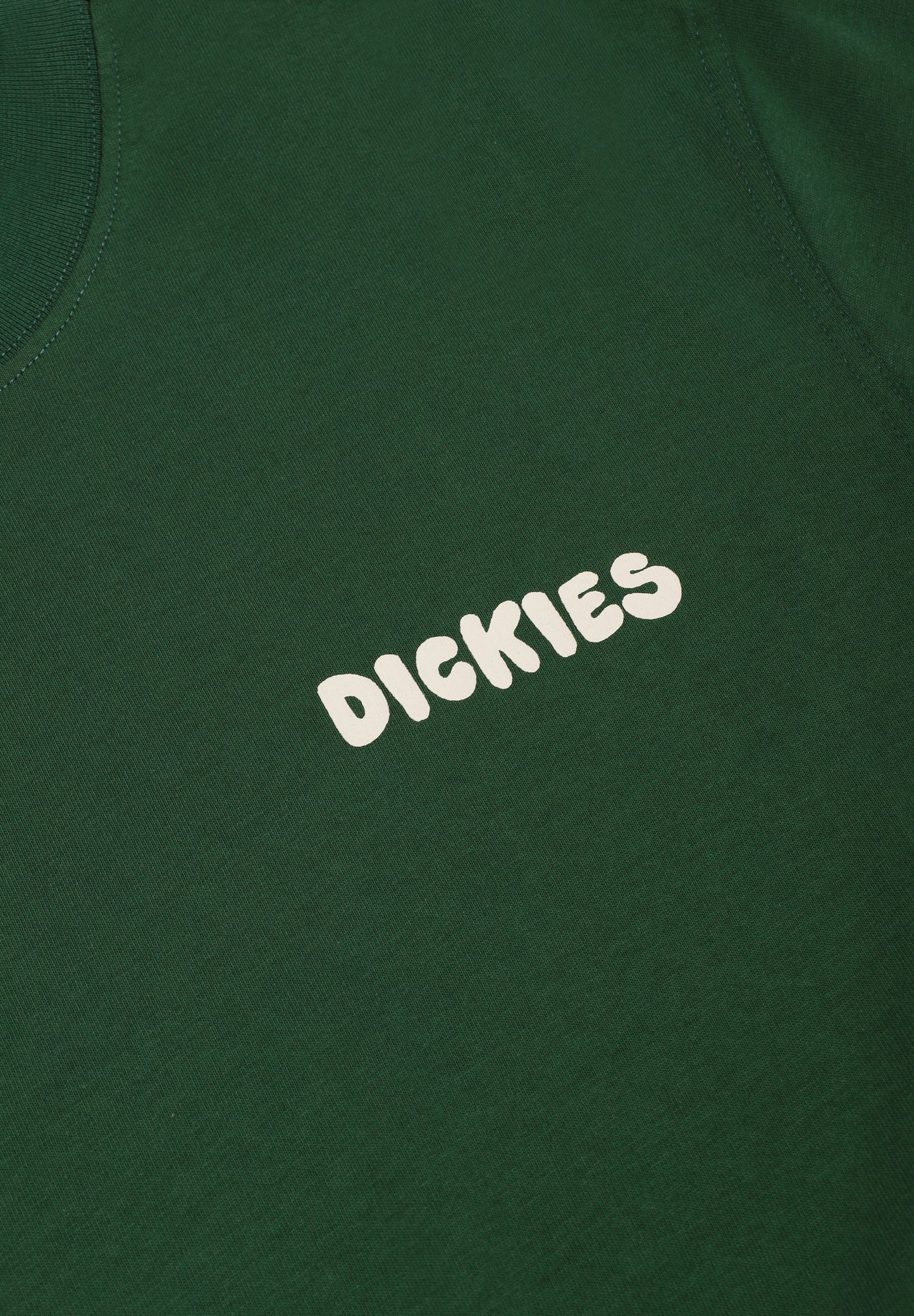 DICKIES | CAMISETA GORDONSVILLE