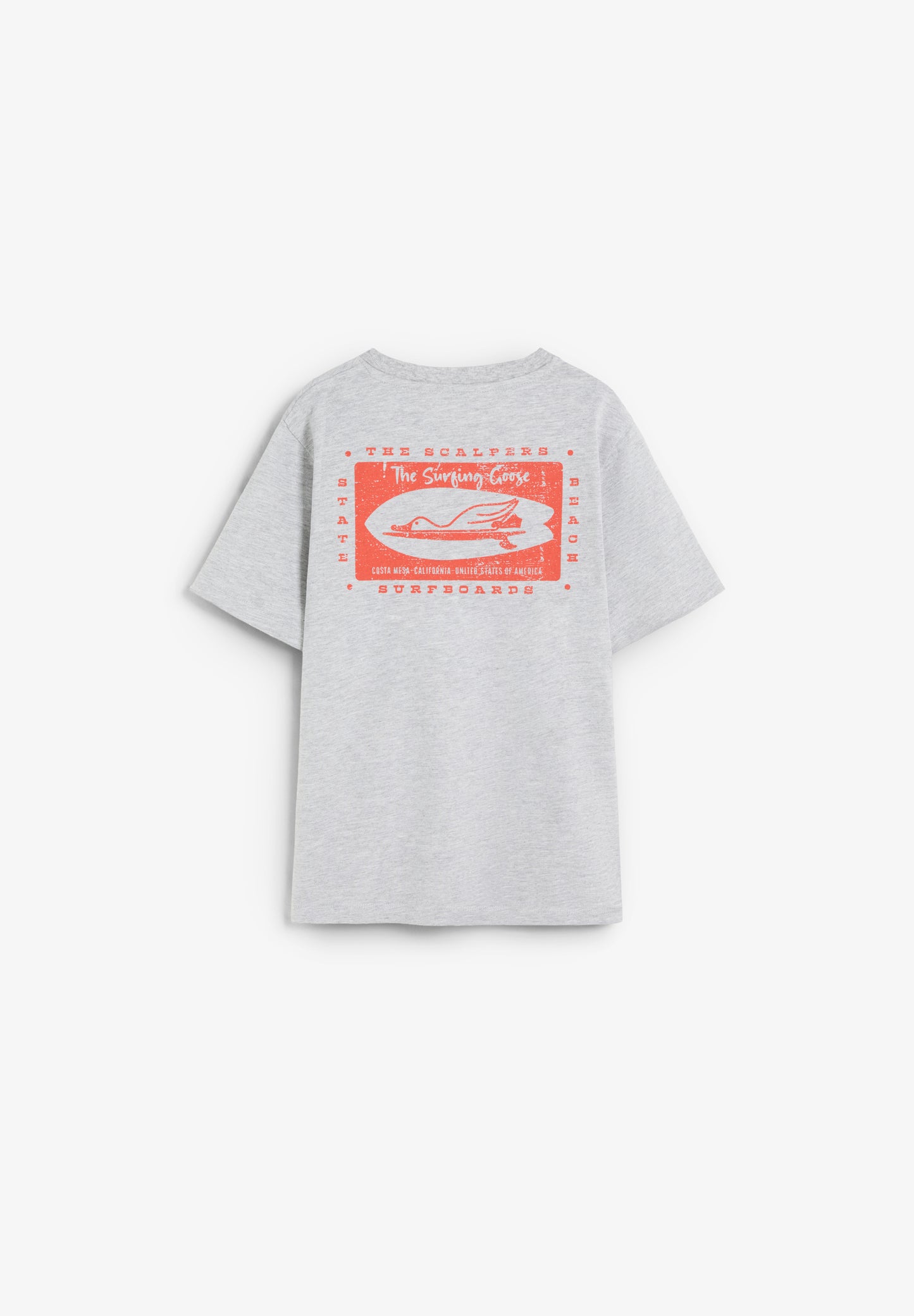 CAMISETA ESTAMPADO THE SURFING GOOSE