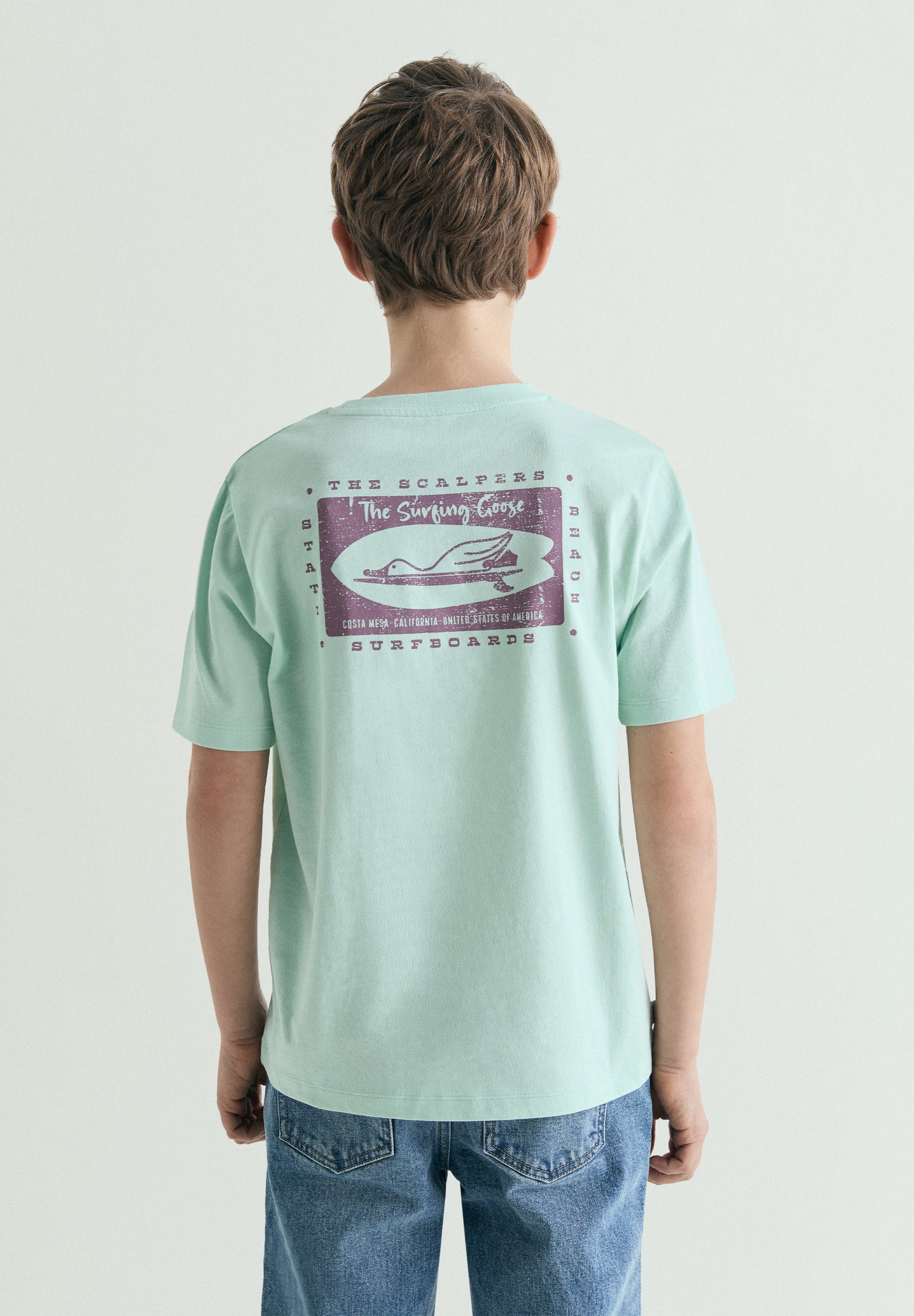 CAMISETA ESTAMPADO THE SURFING GOOSE