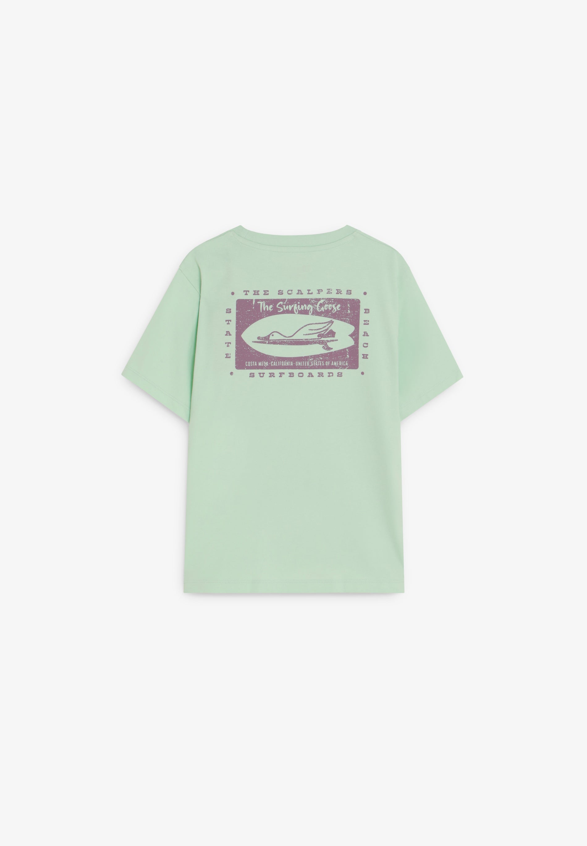 CAMISETA ESTAMPADO THE SURFING GOOSE