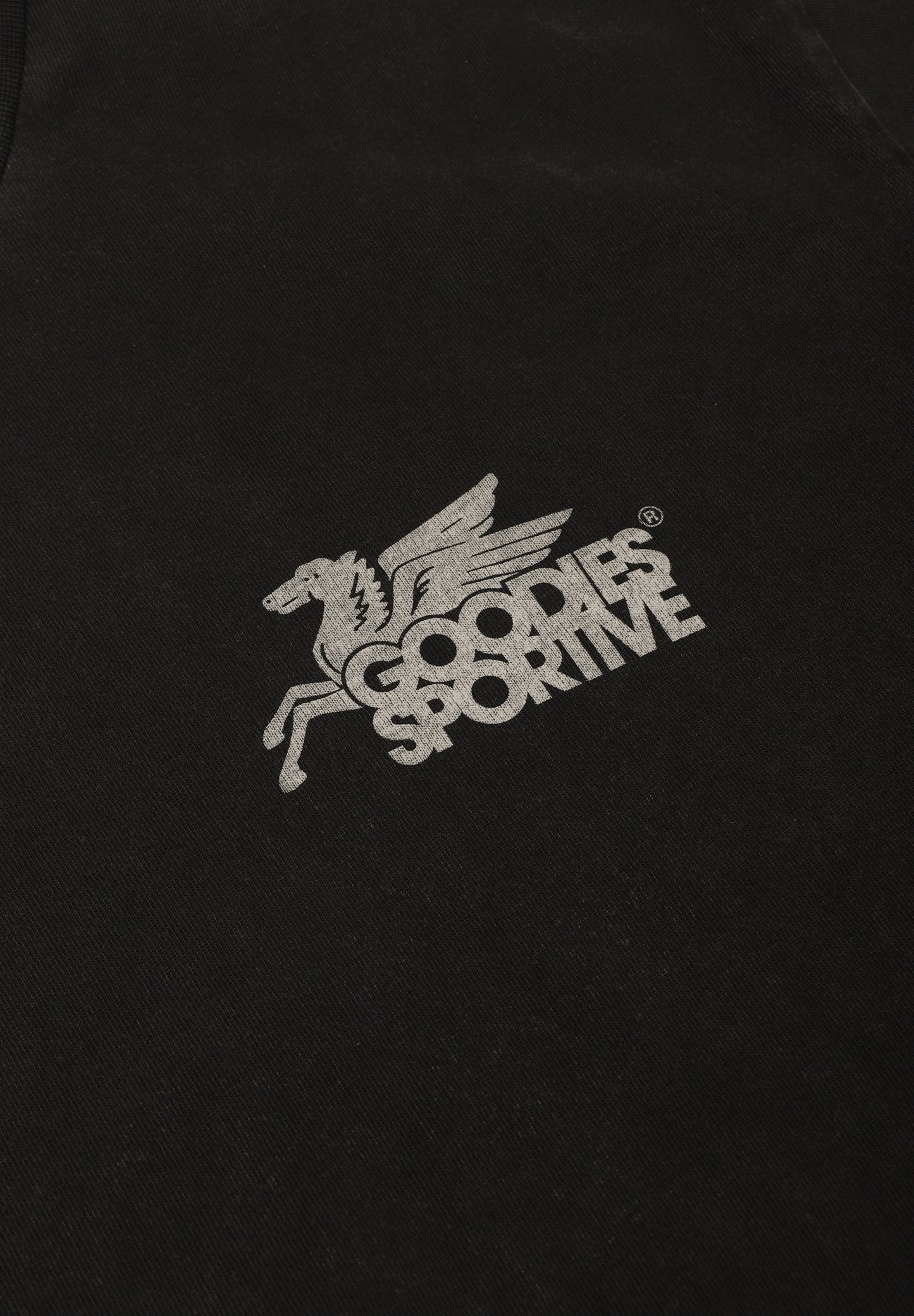 GOODIES SPORTIVE | CAMISETA DUSTY PREMIUM PEGASUS