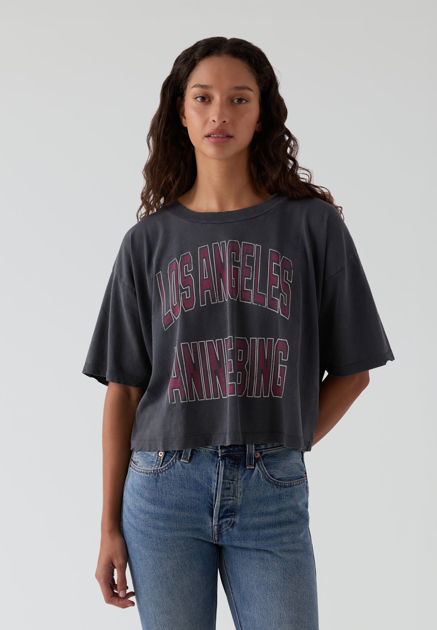 ANINE BING | CAMISETA CROPPED JOHNNY